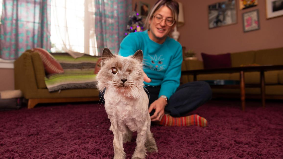 Sylvia the one-eyed cat with her foster person Melissa