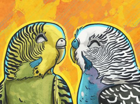 Painting of two happy parakeets (one green and one blue) with their eyes closed