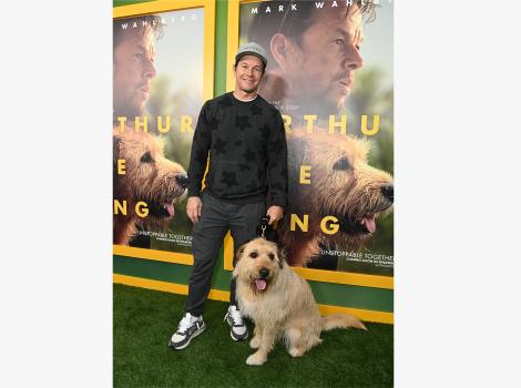 Mark Wahlberg with the dog who is the star in the "Arthur the King" movie at the premier