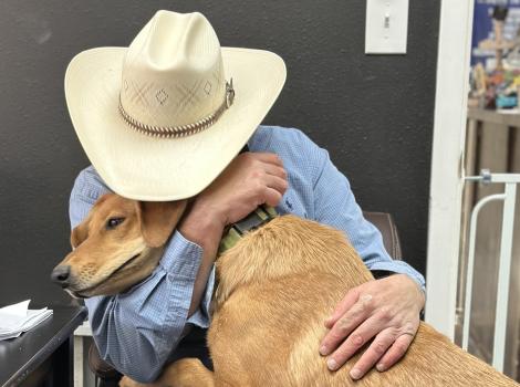 Person wearing a cowboy hat hugging a large brown dog