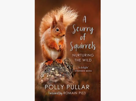 Cover of the book, 'A Scurry of Squirrels'