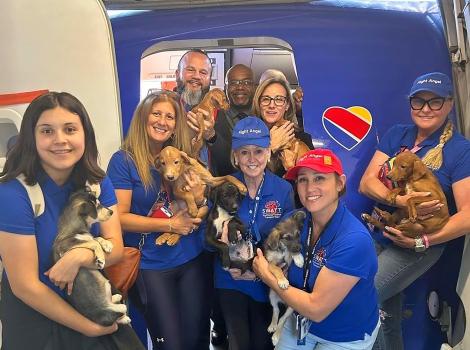Group of Southwest Airlines Southwest Animal Transport Team (SWATT) members holding puppies beside the open door of an airplane