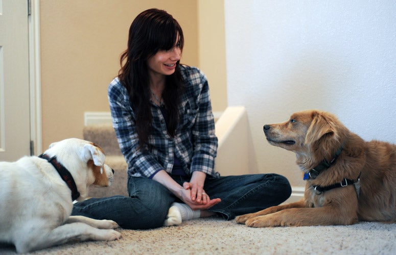 Shy Dog Journey Best Friends Animal Society Save Them All