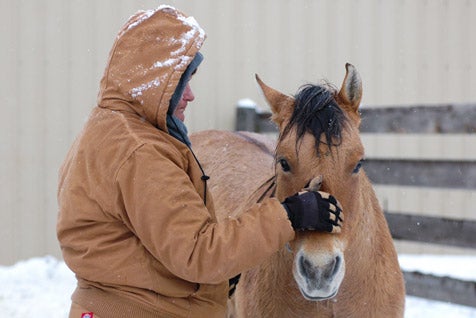 Celebrating The Little Things | Best Friends Animal Society - Save Them All