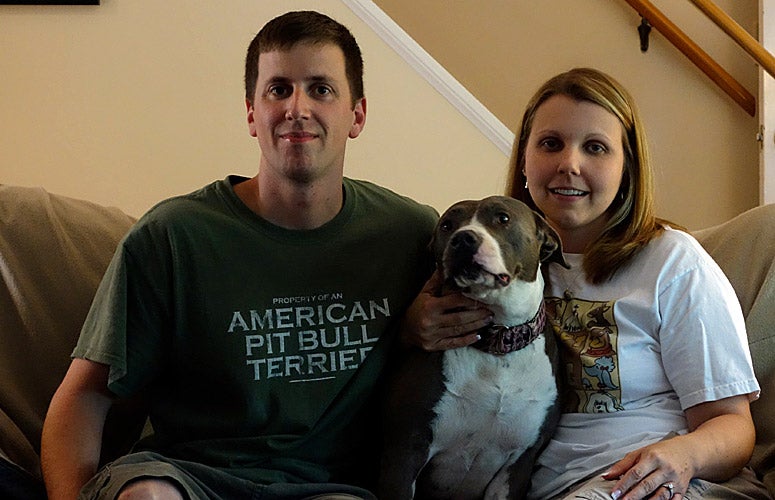 情侶與動物互動