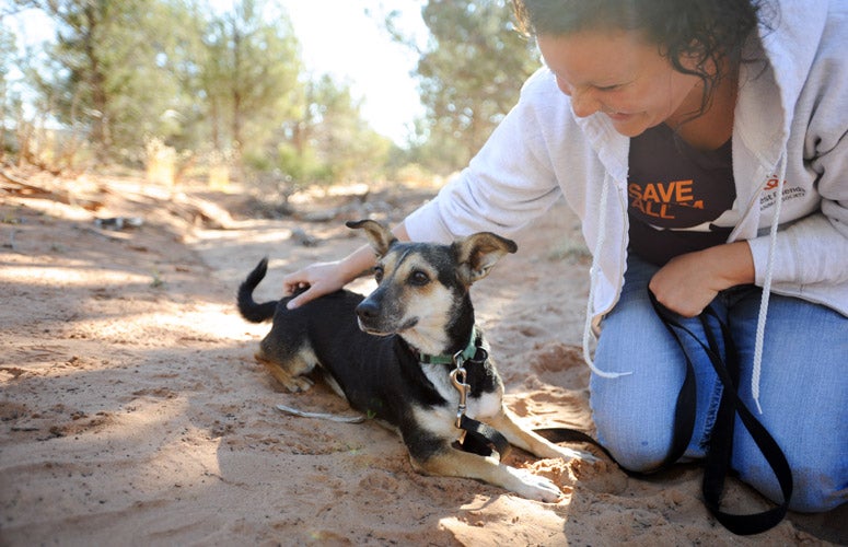 Edie’s breakthrough Best Friends Animal Society Save Them All