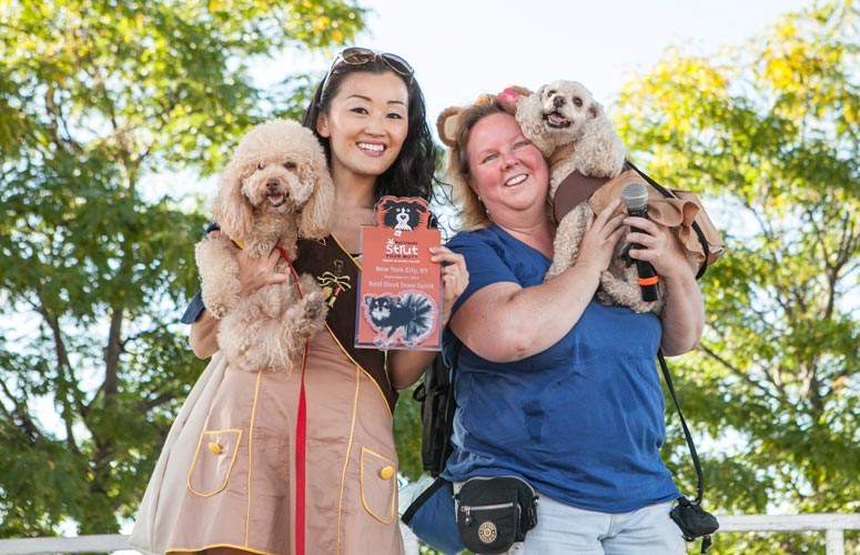 New York Dog Walk Event Fundraiser Best Friends Animal Society Save