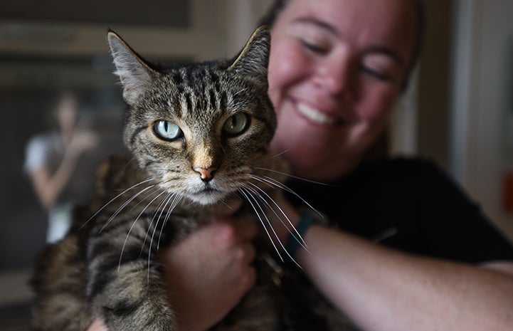 pulling-cat-tail-injury-best-friends-animal-society