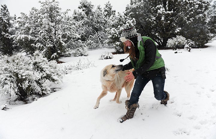 https://bestfriends.org/sites/default/files/2017/Animal-Christmas-holiday-Ollie-Becca-8895MW.jpg