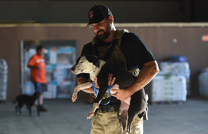 Heroes Help Hurricane Harvey Pets | Best Friends Animal Society