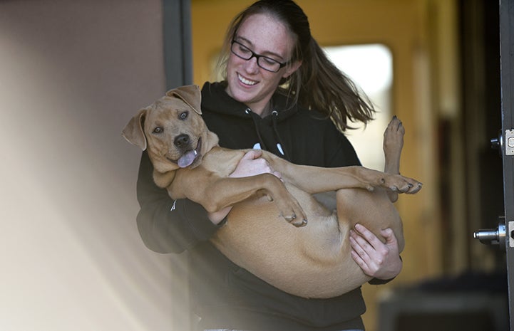 Pupsies Problematic Puppy Behavior Problems | Best Friends Animal Society