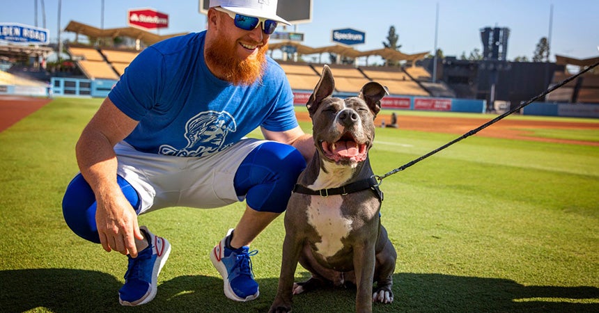 Los Angeles Dodgers Fans And Golden Retriever Dog Lovers Funny T