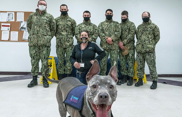 Affectionate shelter dog teaches Naval officer important life lessons