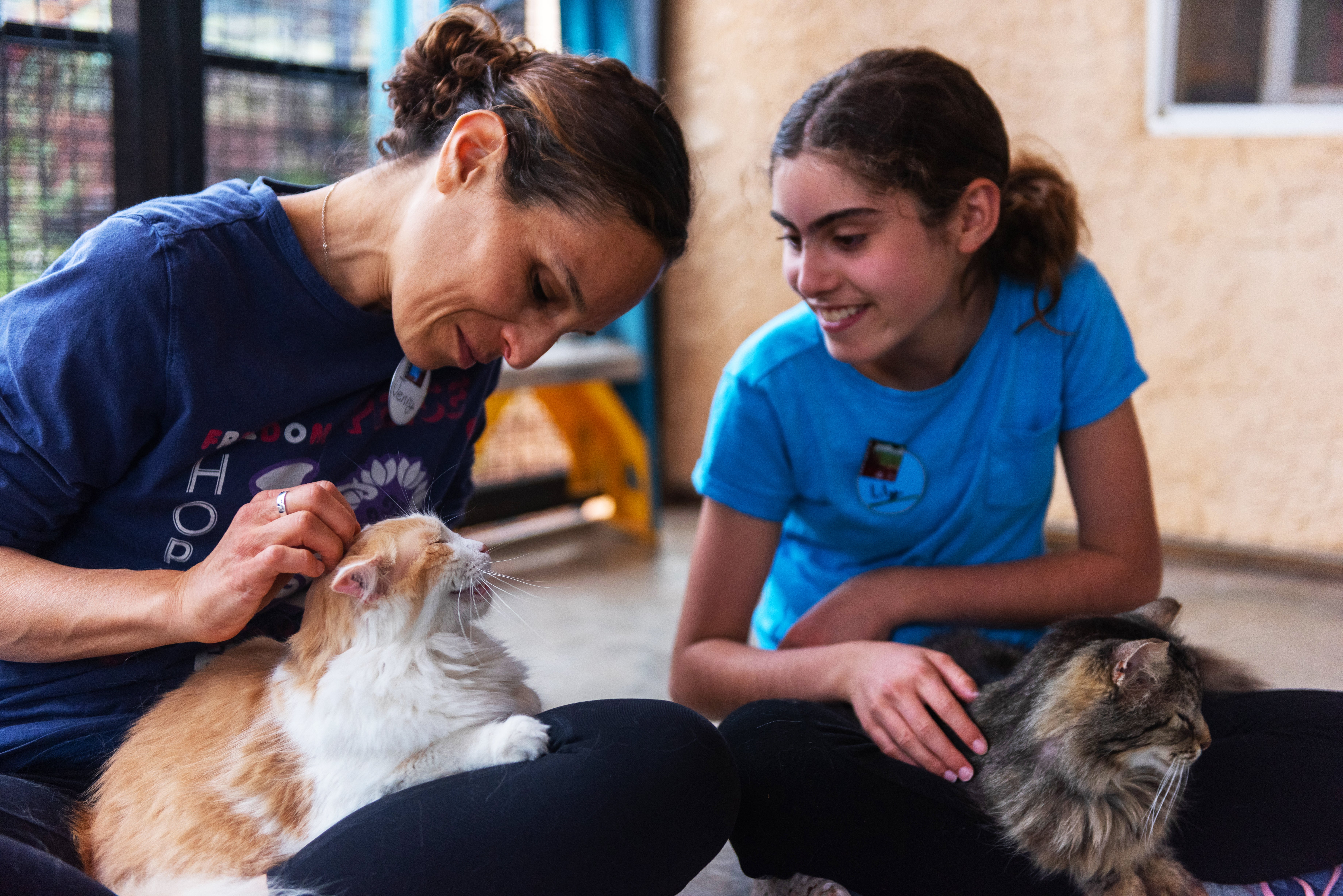 Two people petting cats in an outdoor cat enclosure