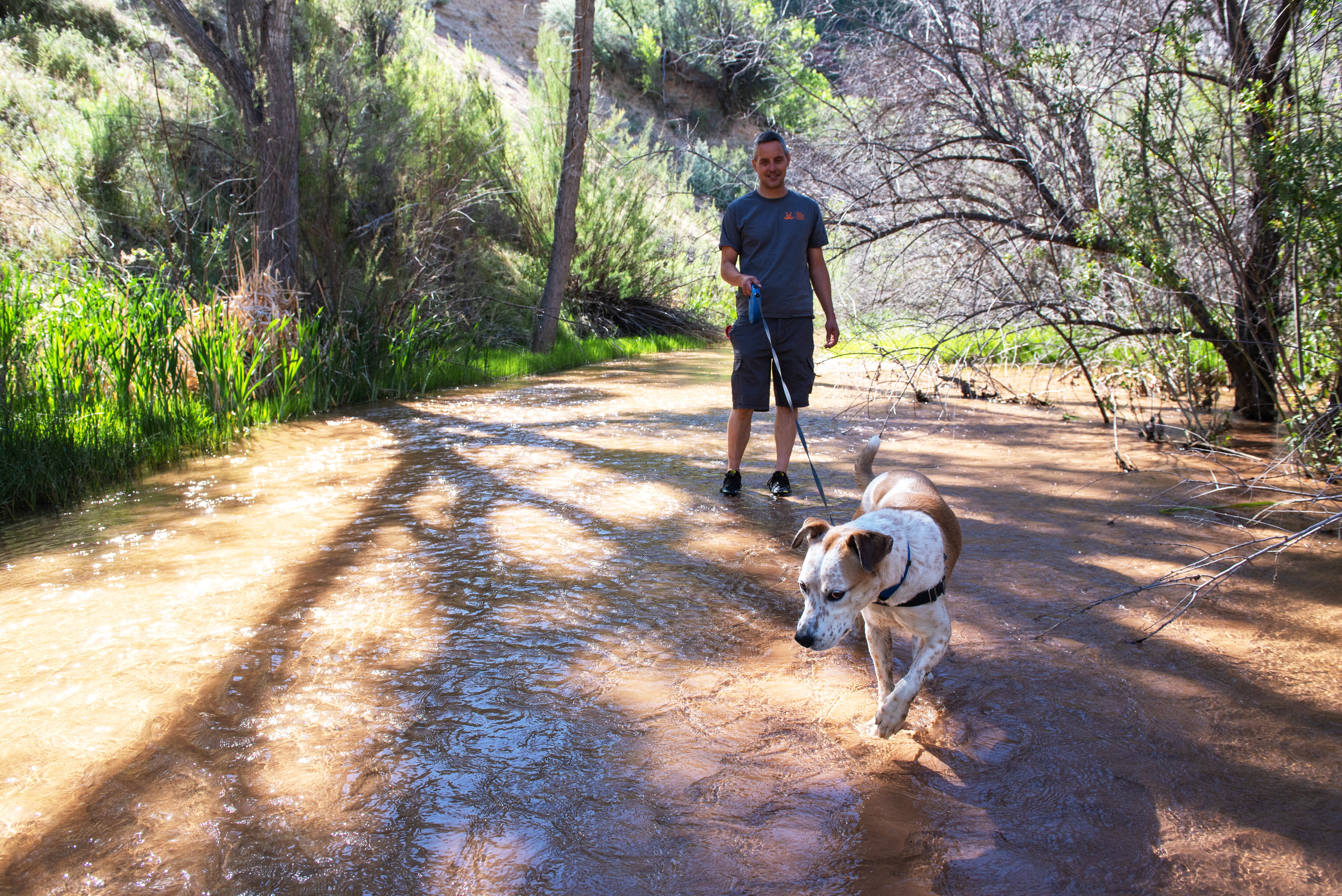 Person taking a dog for a walk in a canyon creek