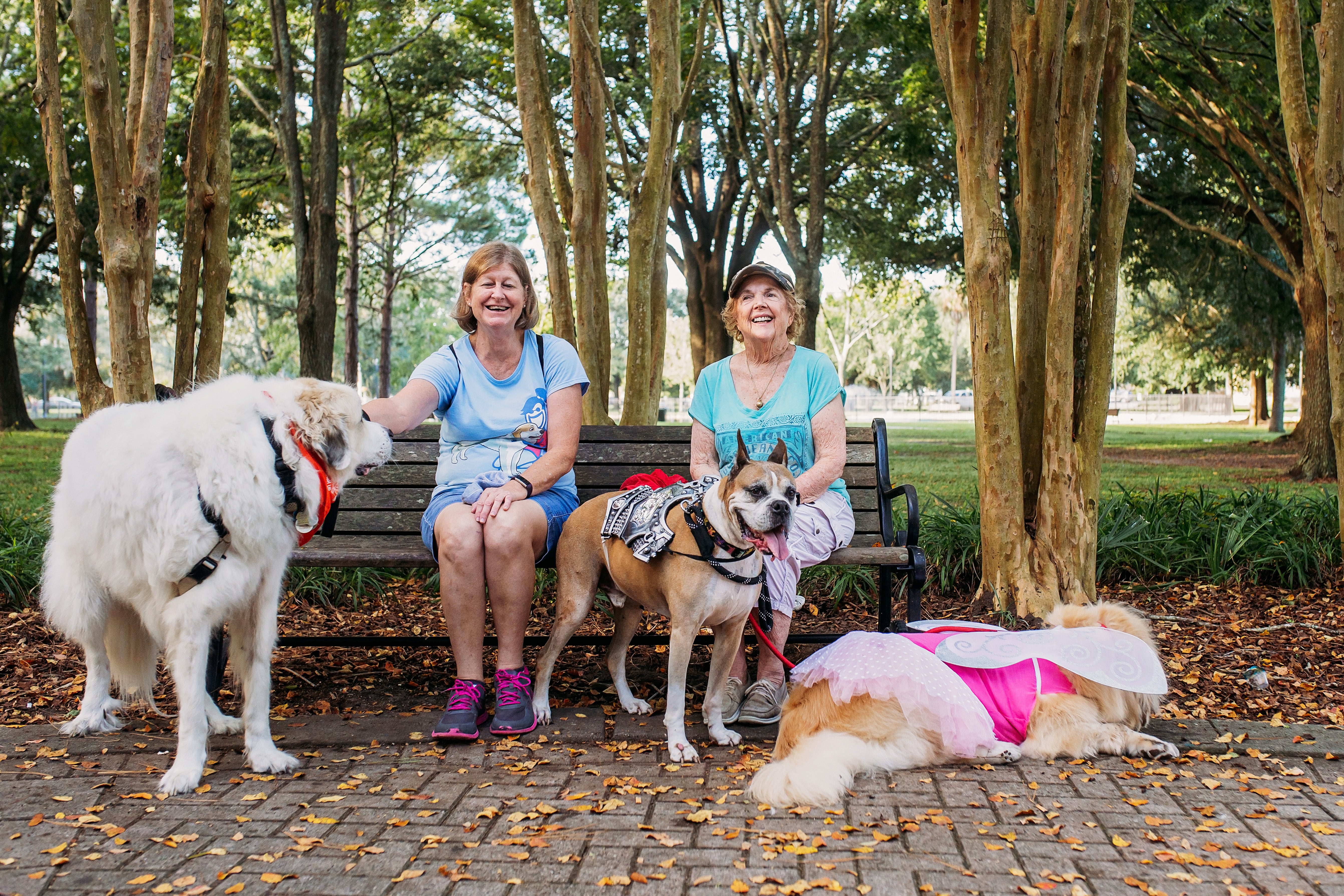 2 woman with 3 dogs sitting on park bench