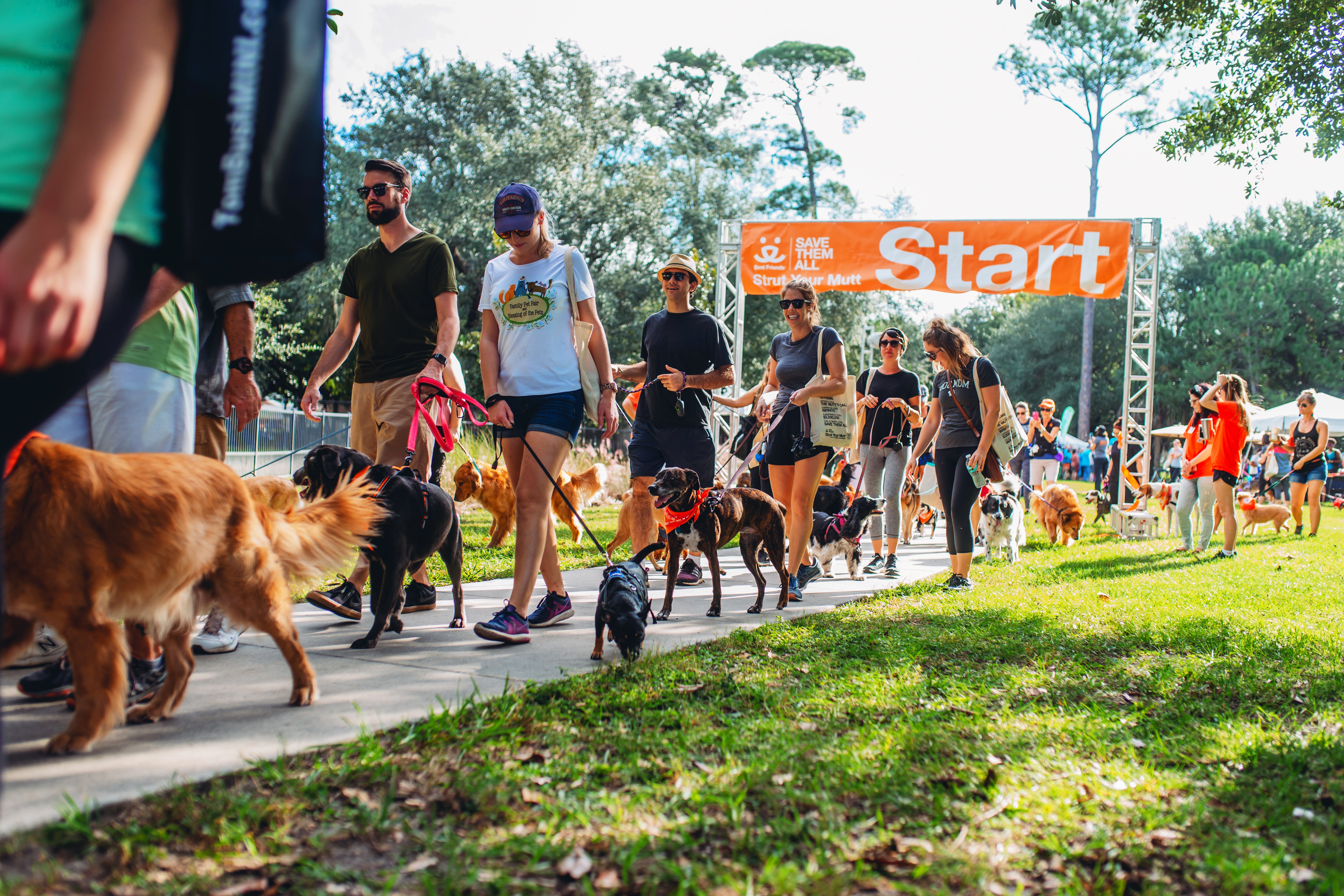 Participants walking at an outdoor Strut Your Mutt event