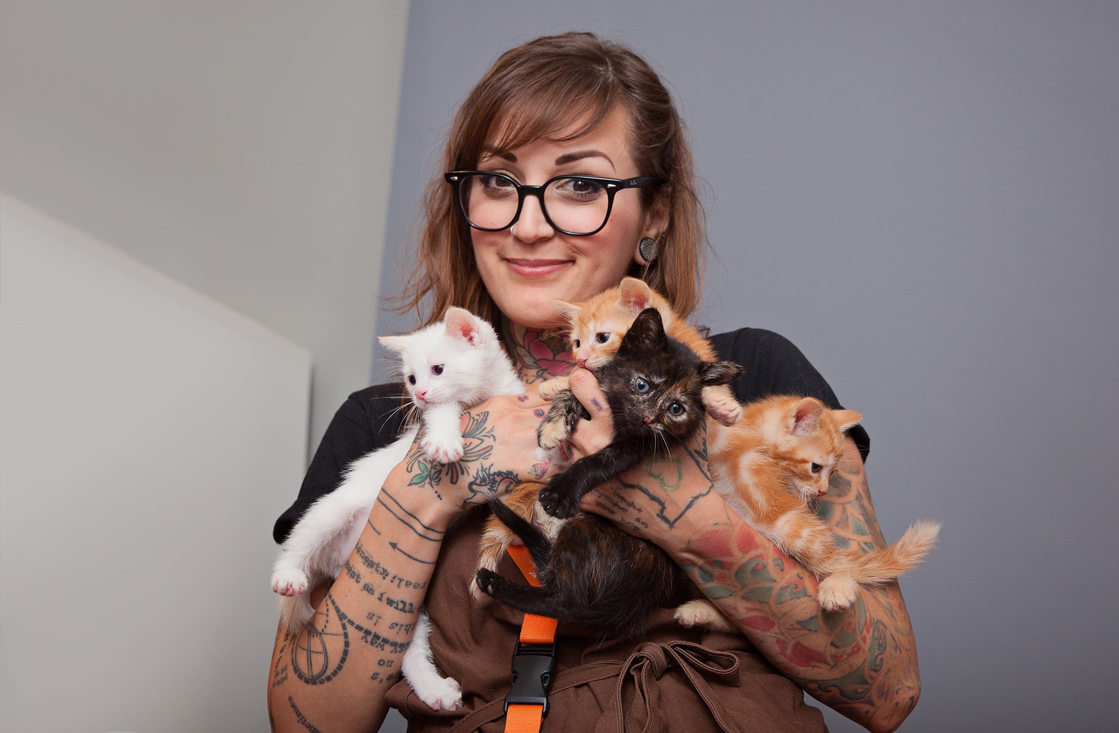 Person holding a litter of kittens