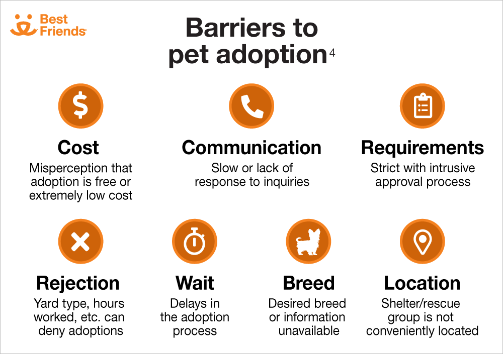 Barriers to Pet Adoption