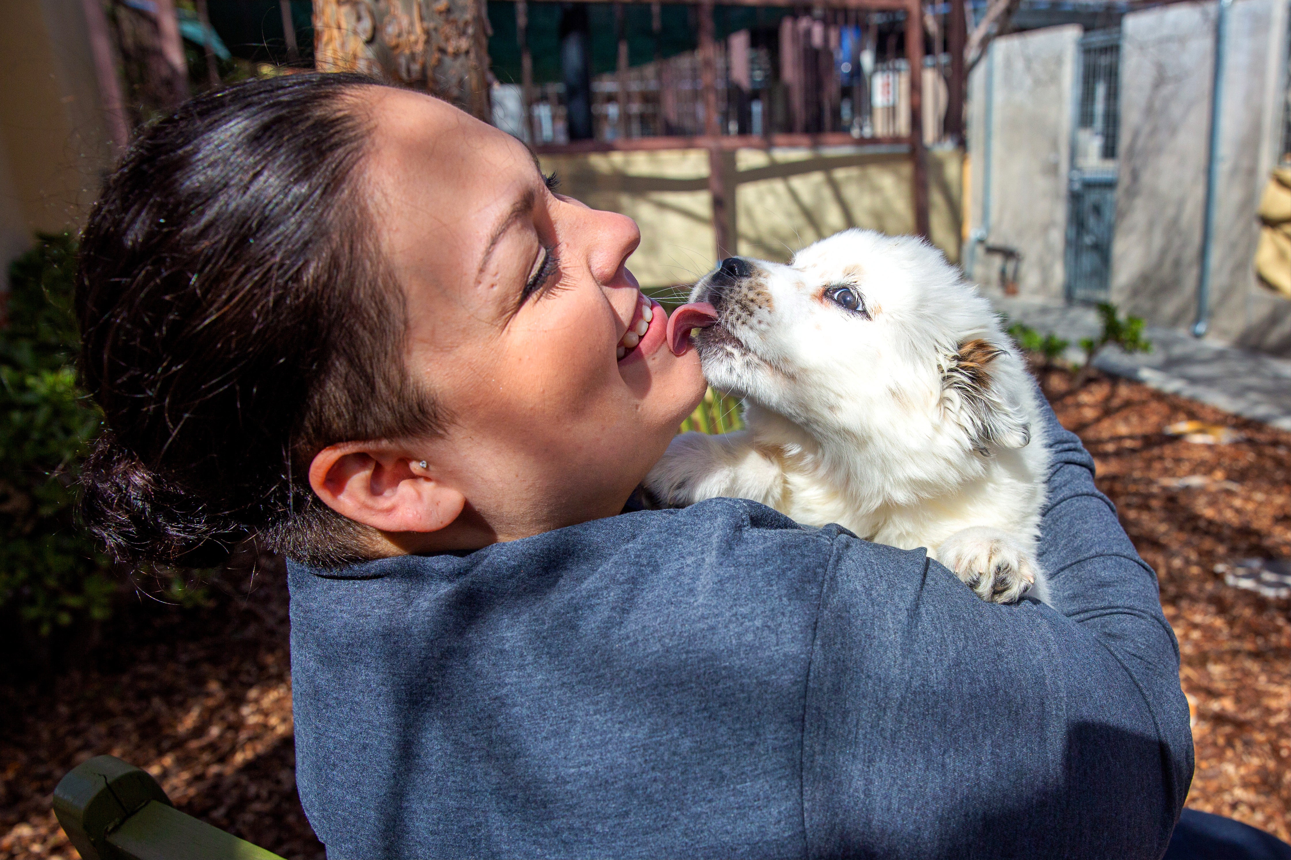 Smiling person holding a white puppy and getting licked on the face
