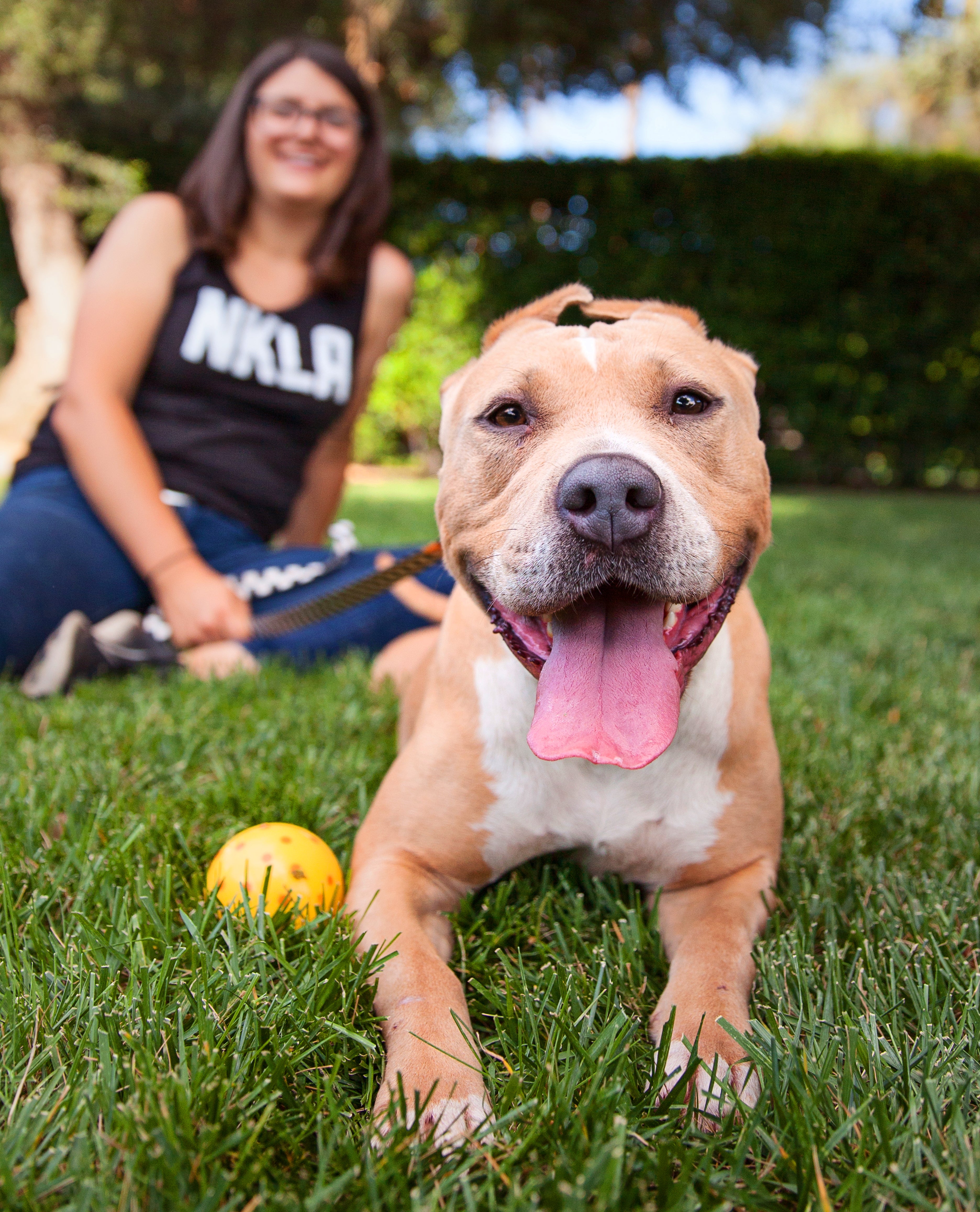Person sitting with a happy dog in a grassy area playing with a ball