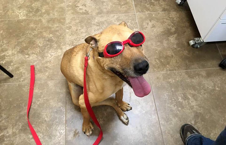 Romo in his laser treatment goggles