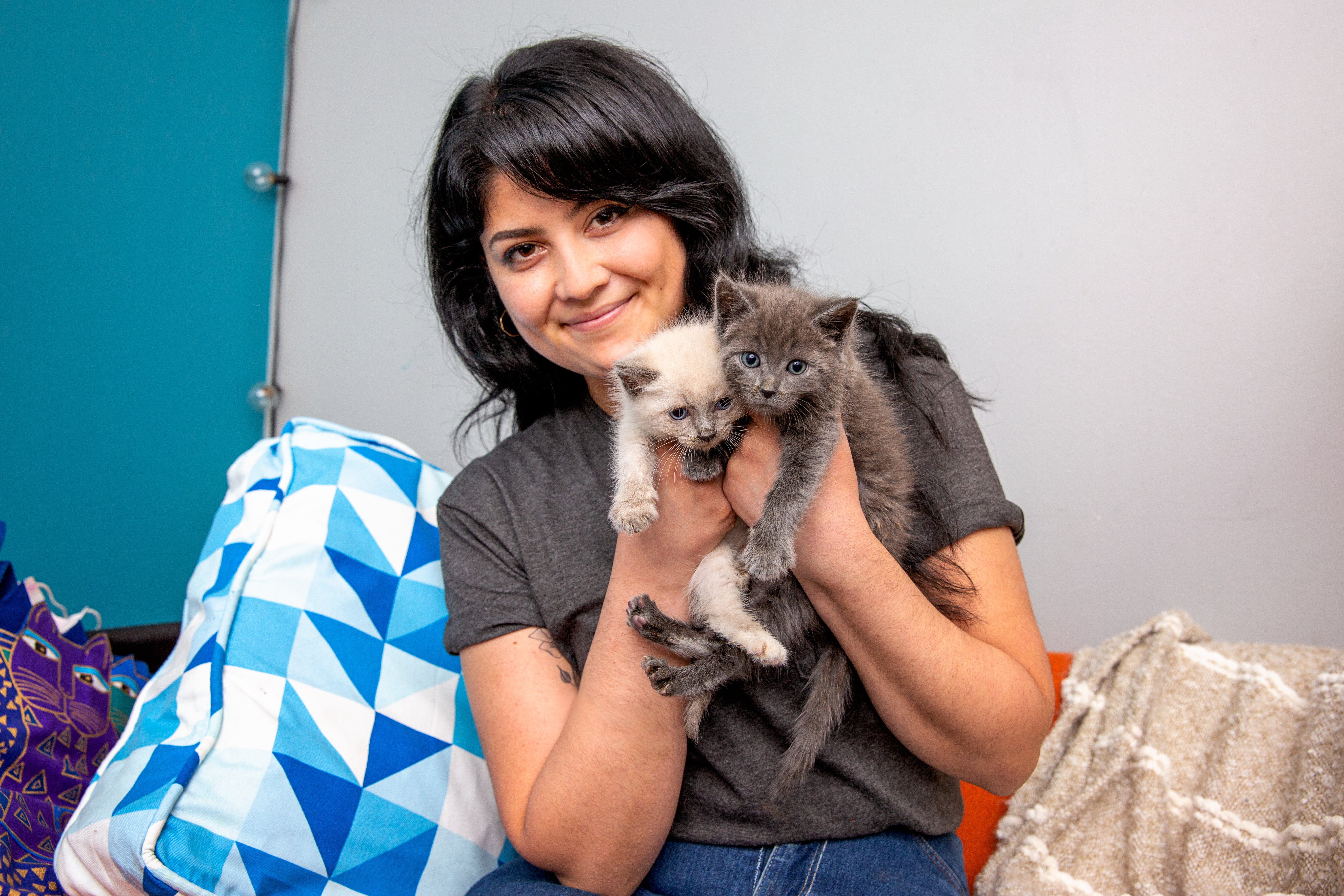 Person holding up two tiny kittens