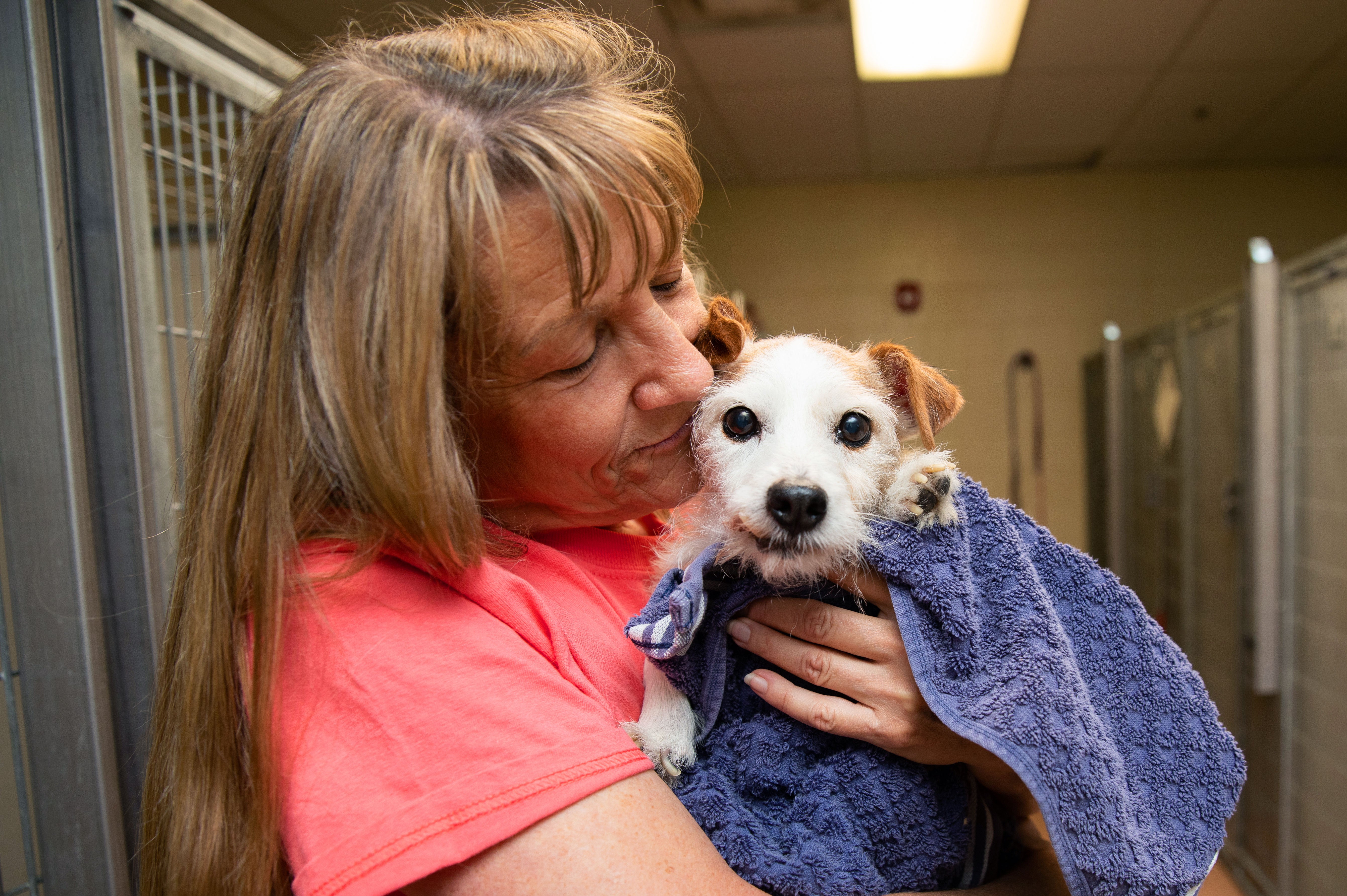 Person holding a small terrier dog in a towel outside some kennels