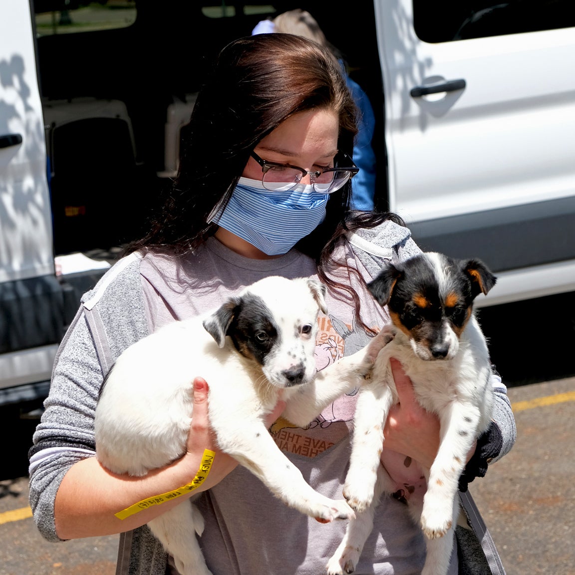 Masked person carrying two puppies for a transport