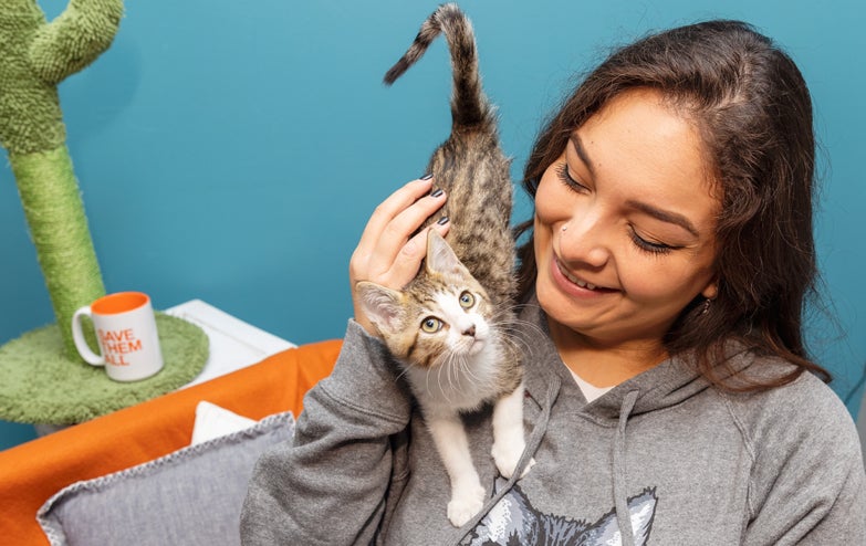 Smiling person petting a kitten who is standing on her shoulder and chest