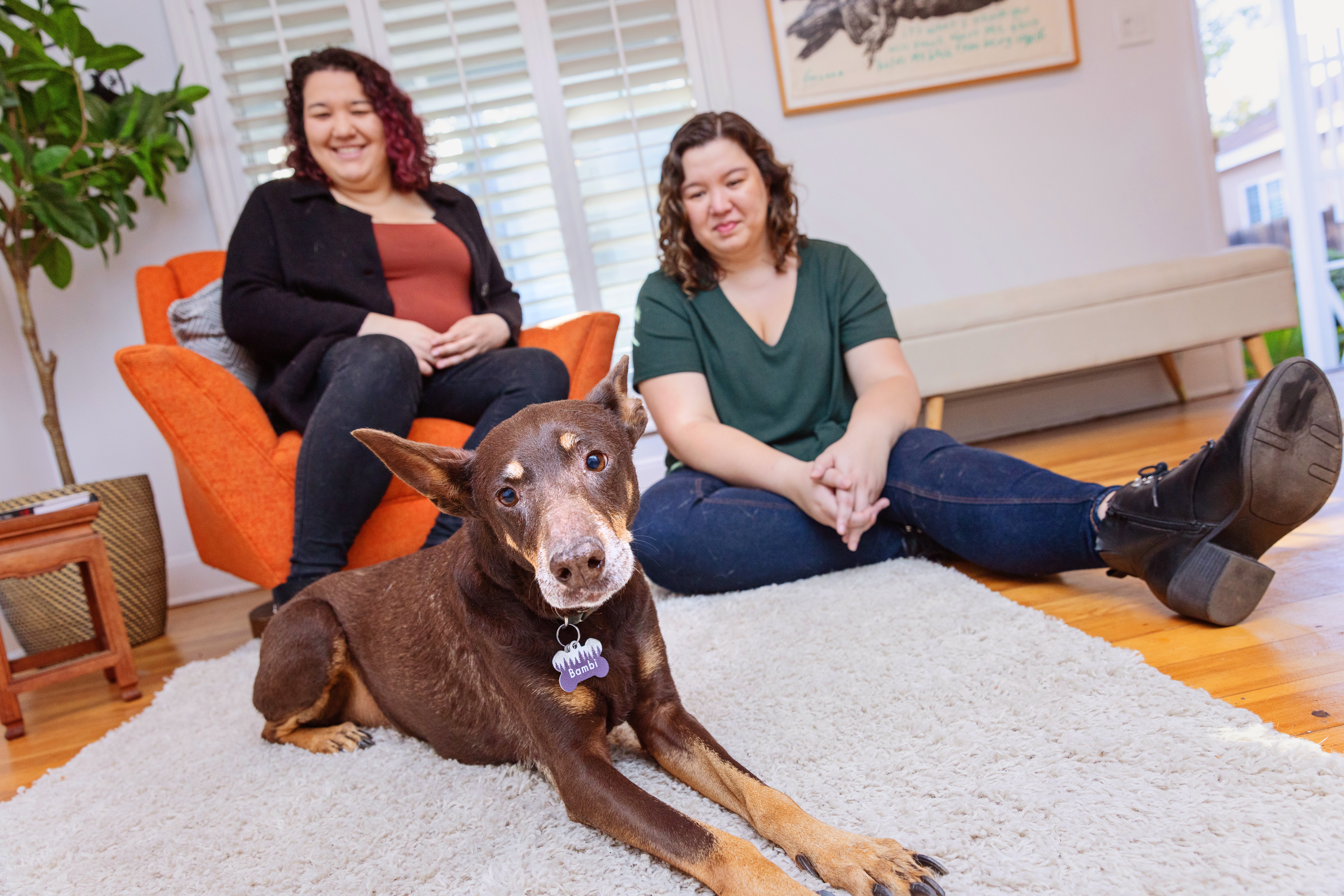 Two smiling people relaxing with a dog in a living room on the floor