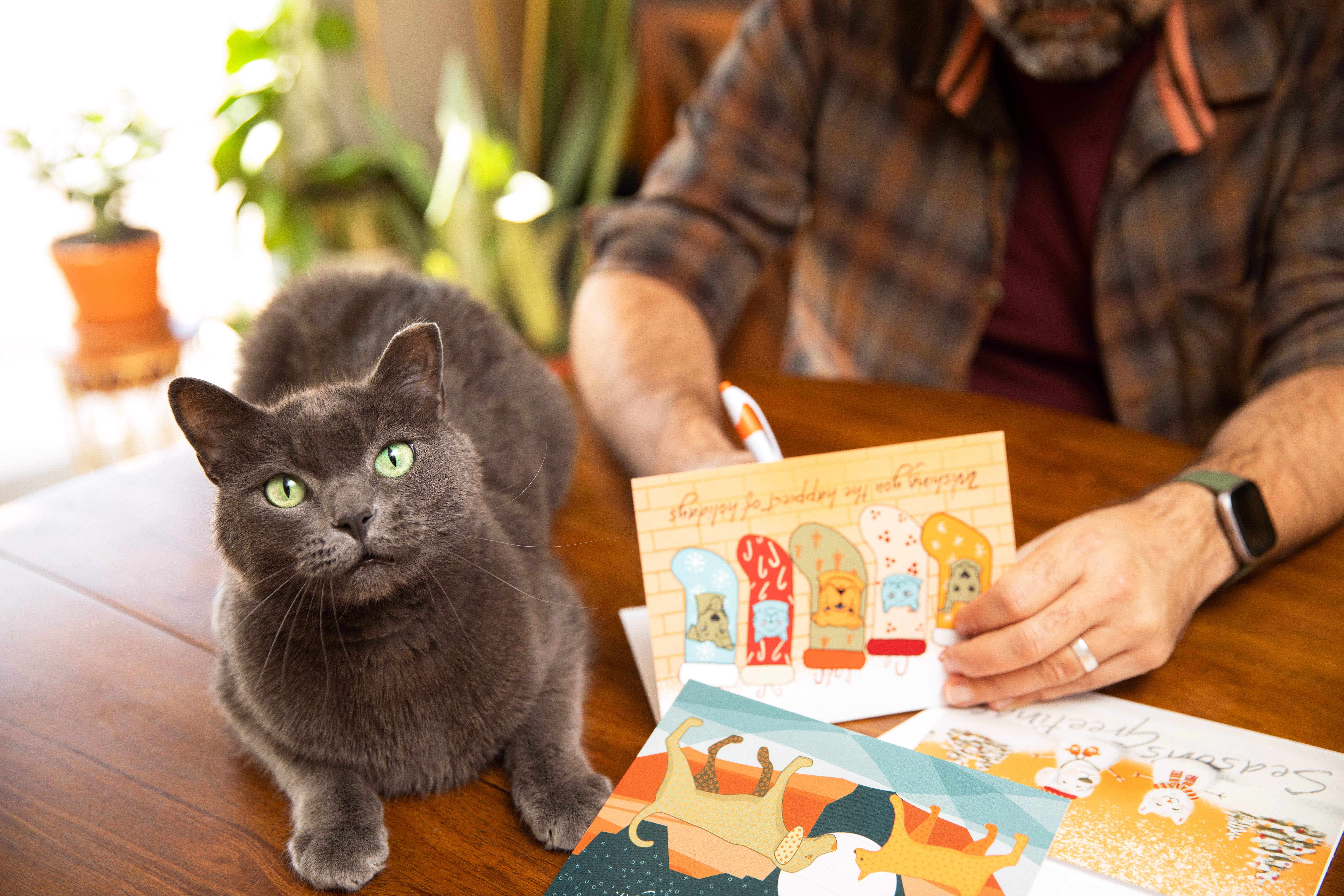 Person writing holiday cards with a cat sitting next to the cards on the table
