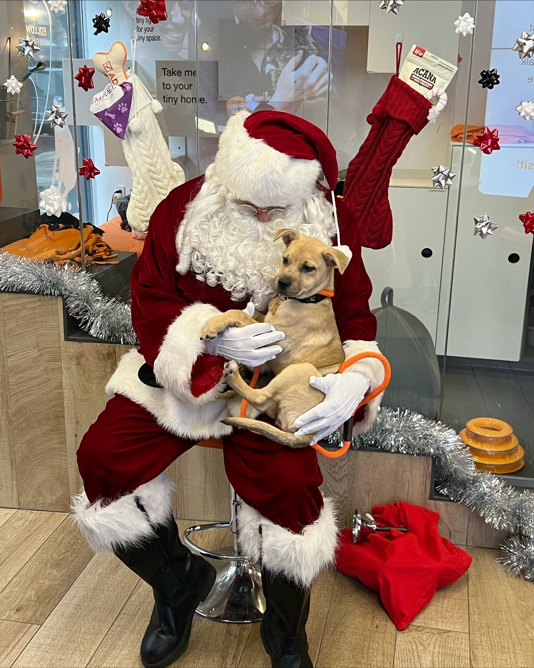 Neve enjoys a visit with Santa.