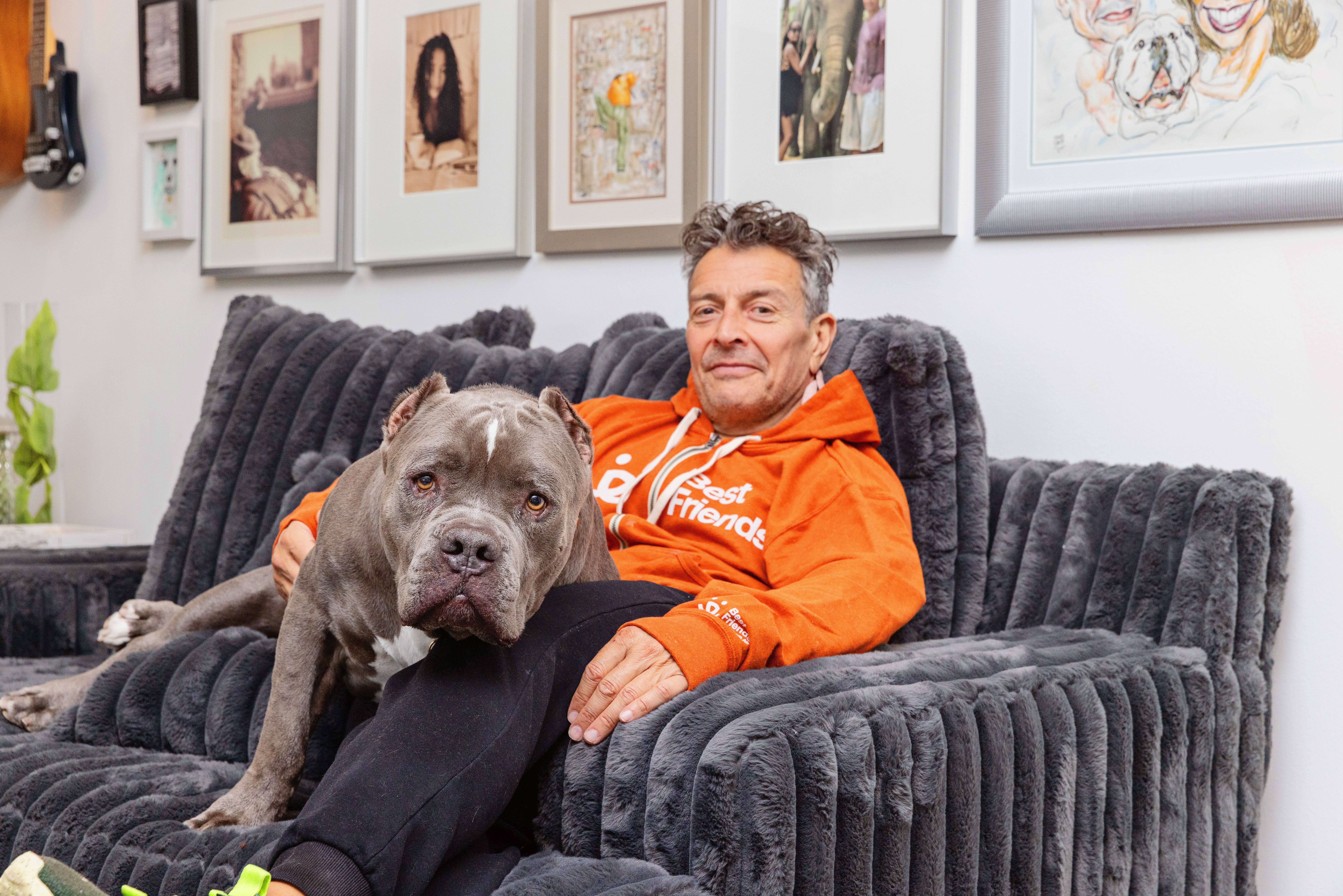 Person relaxing with a big dog on a couch