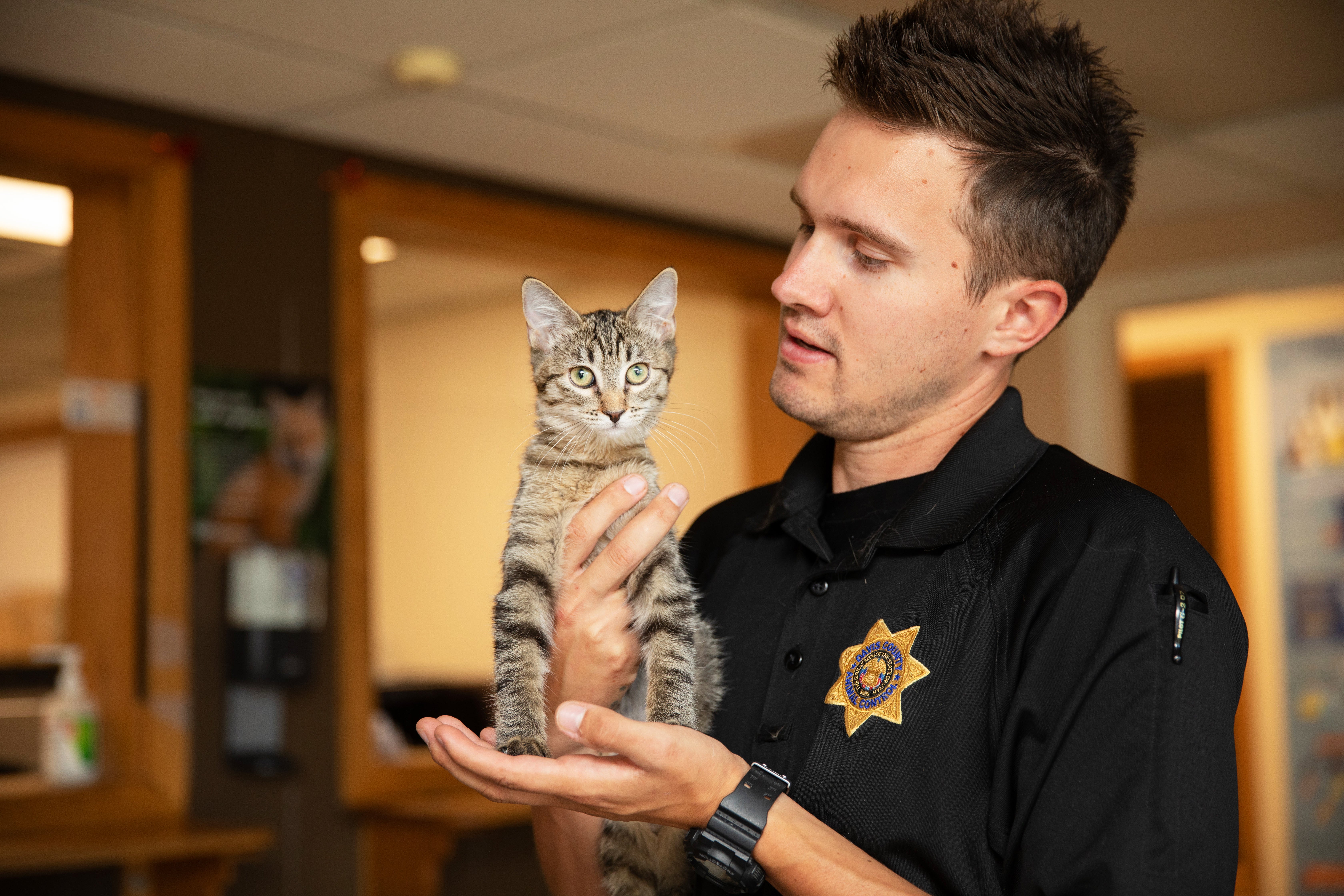 Animal Control Officer holding a tabby kitten in his hands