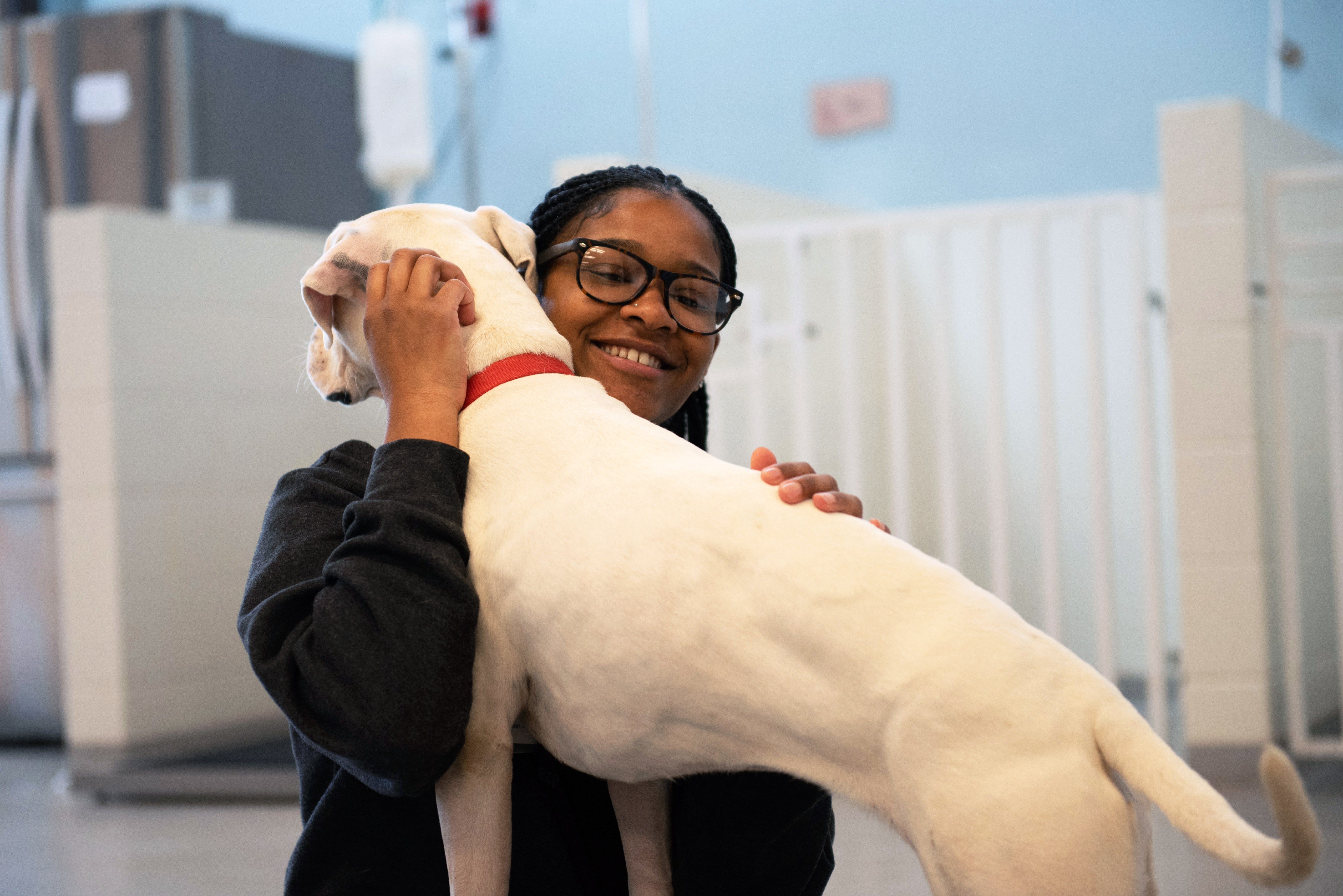 Smiling person hugging a white dog in a veterinary setting