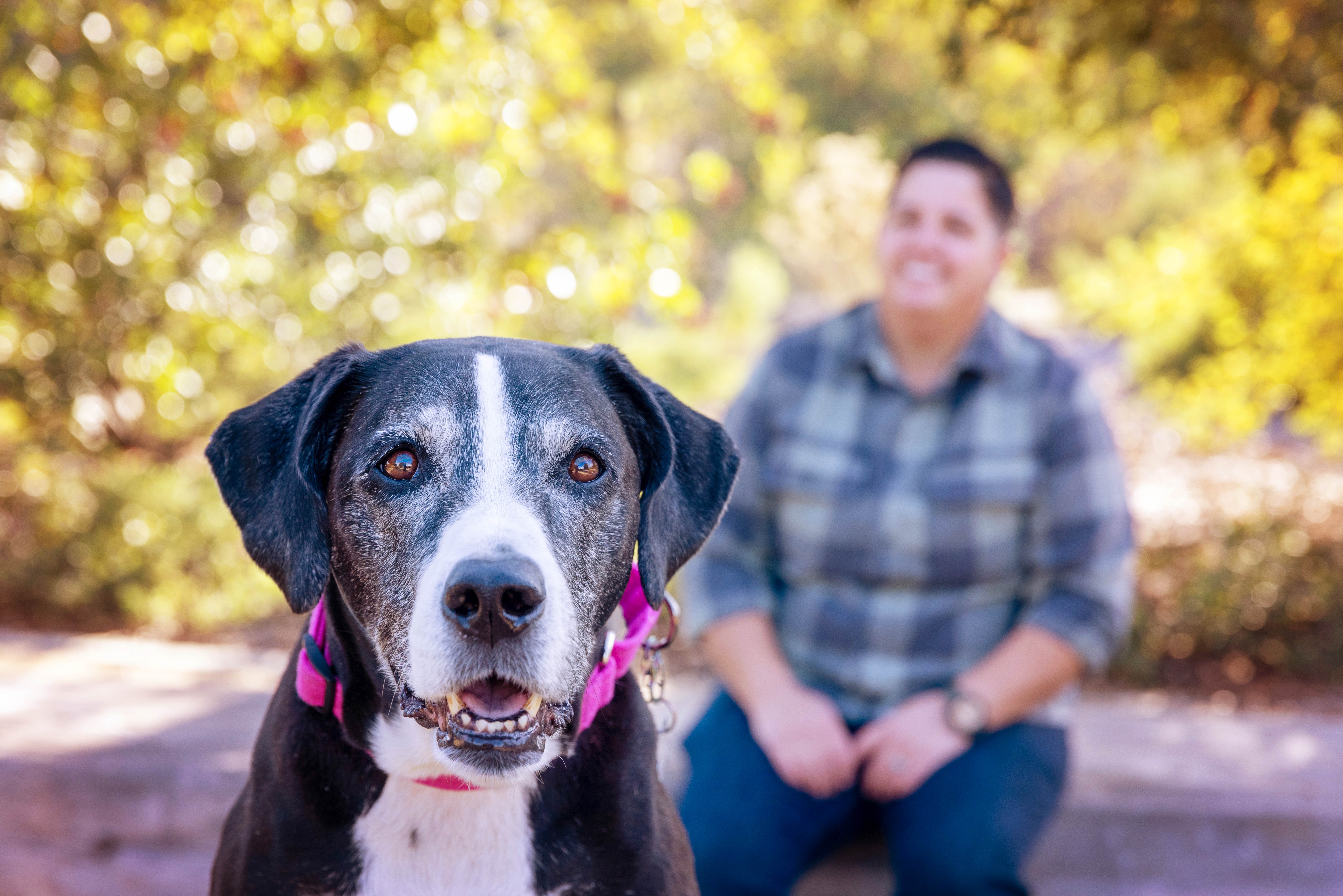 Senior dog in foreground with smiling person wearing a plaid shirt behind her