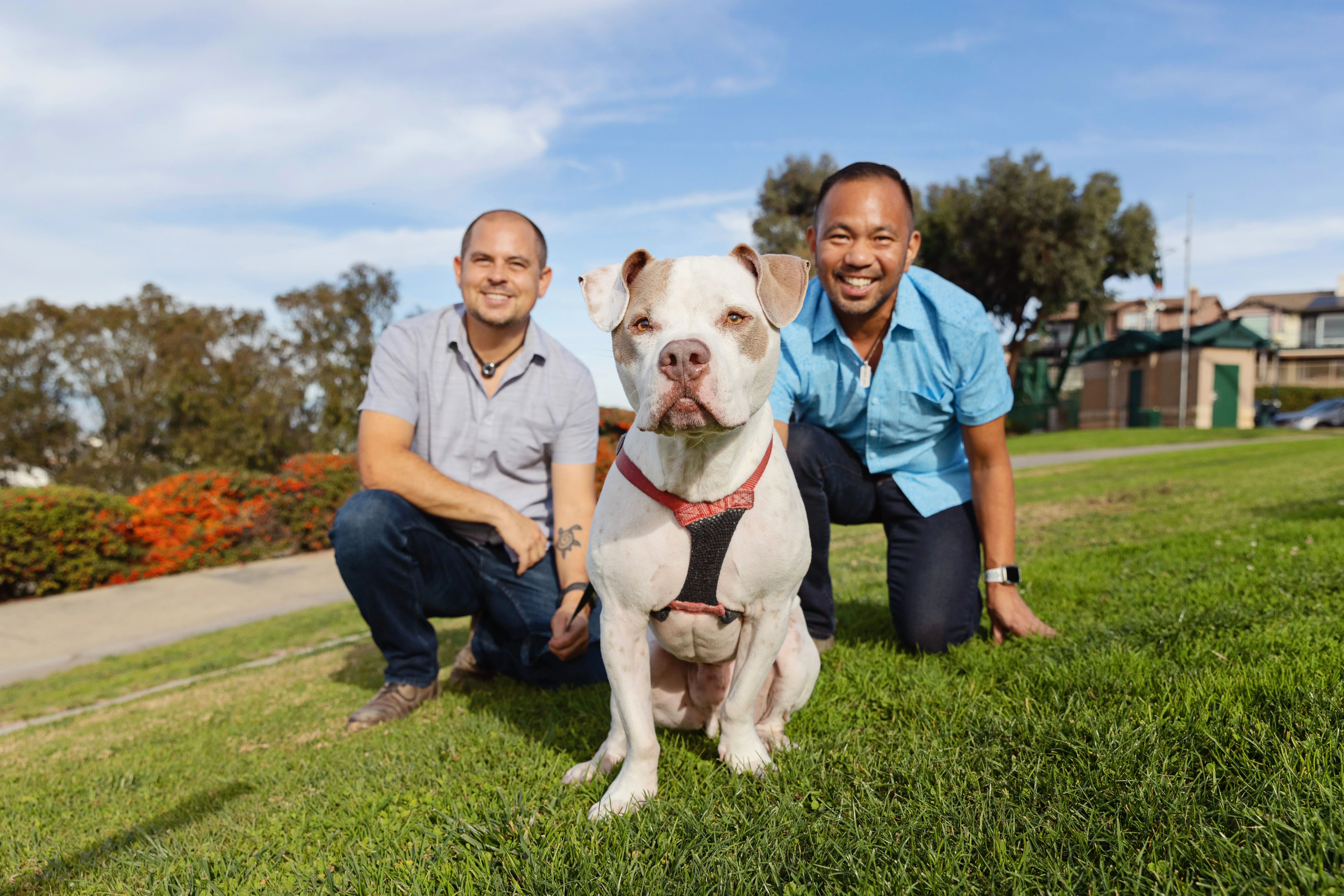 Two smiling people sitting in the grass with a big dog