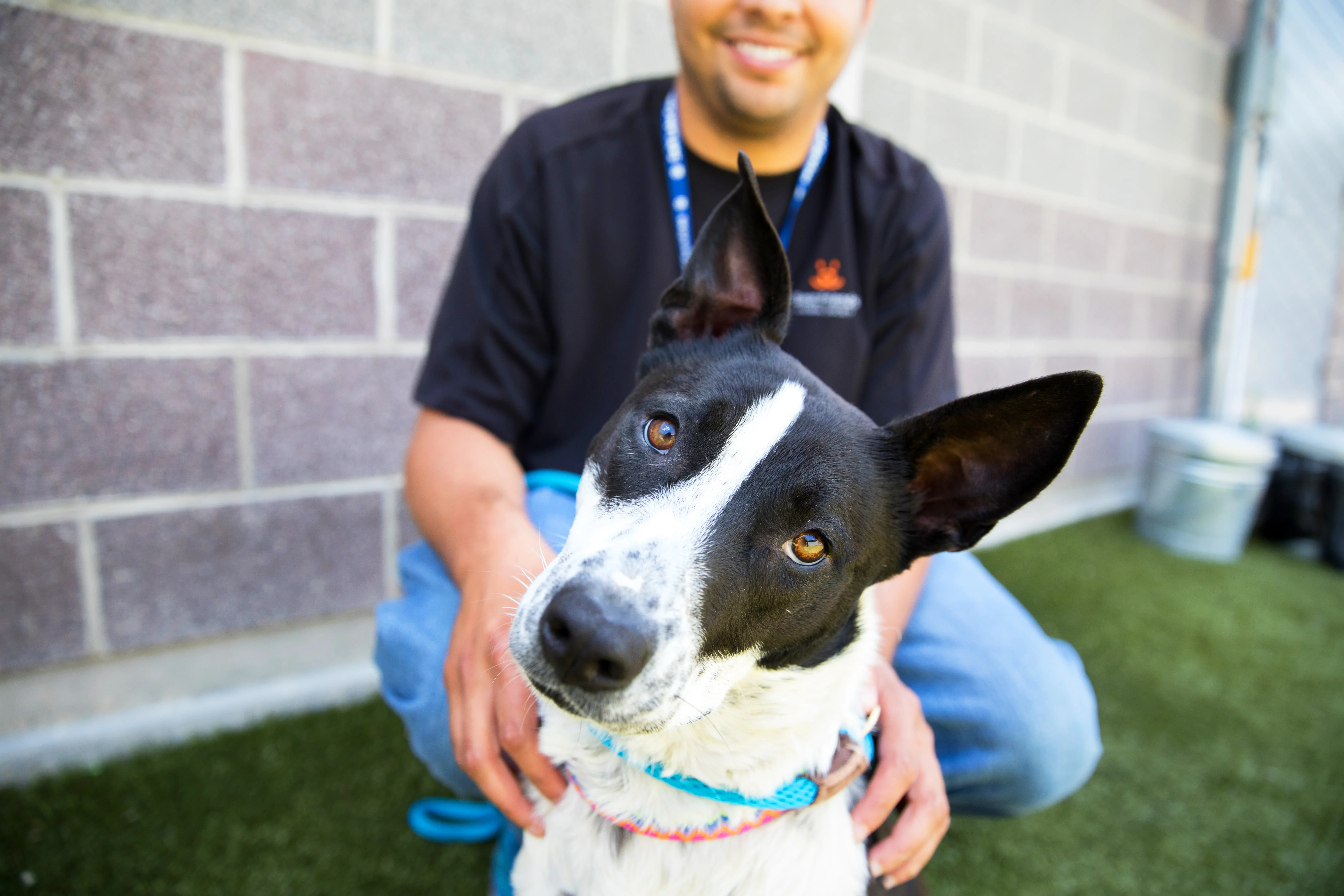 Smiling person kneeling in the grass with a dog