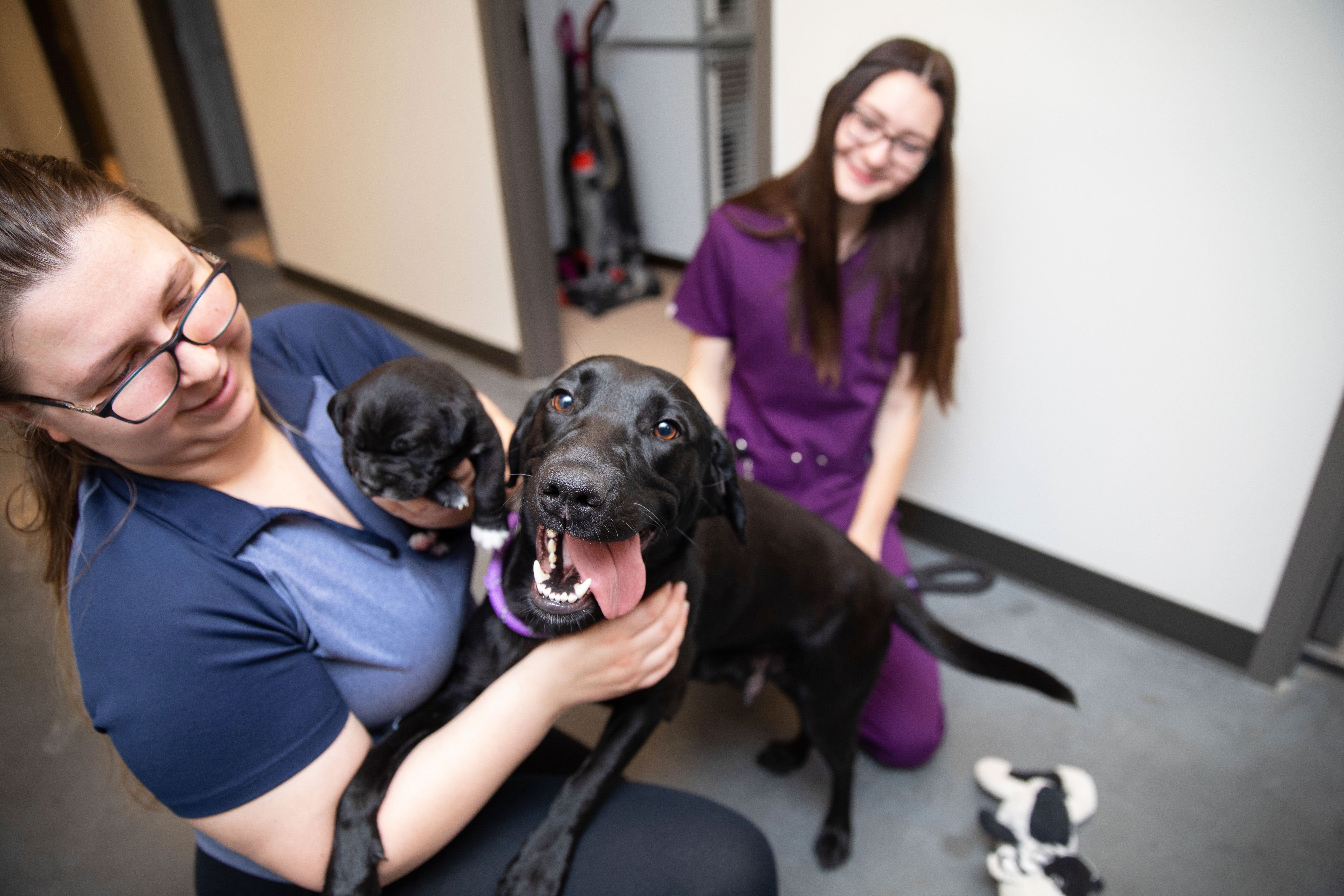 Two shelter workers with a happy, large black dog and puppy