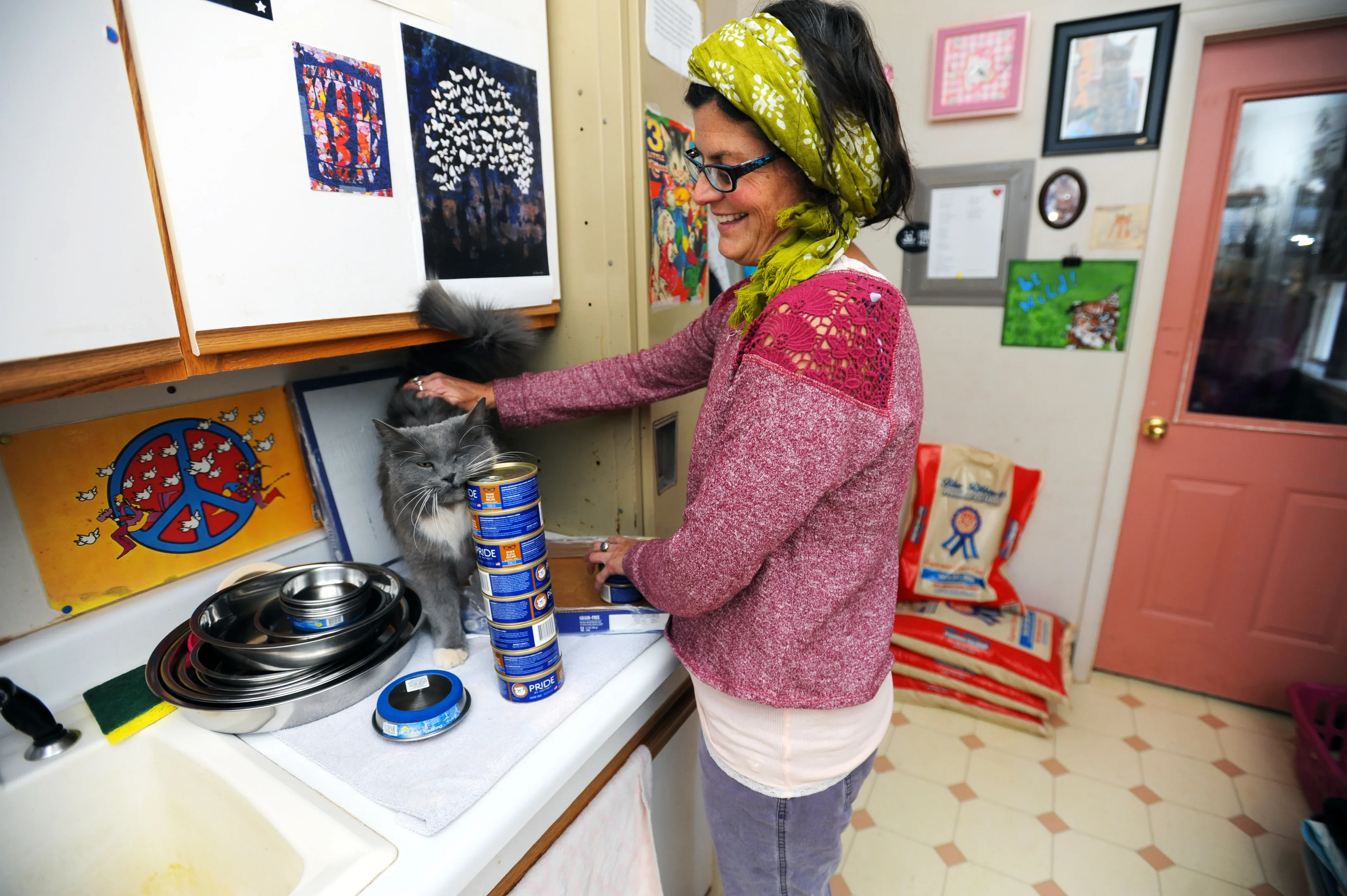 Smiling person feeding a cat in a kitchen
