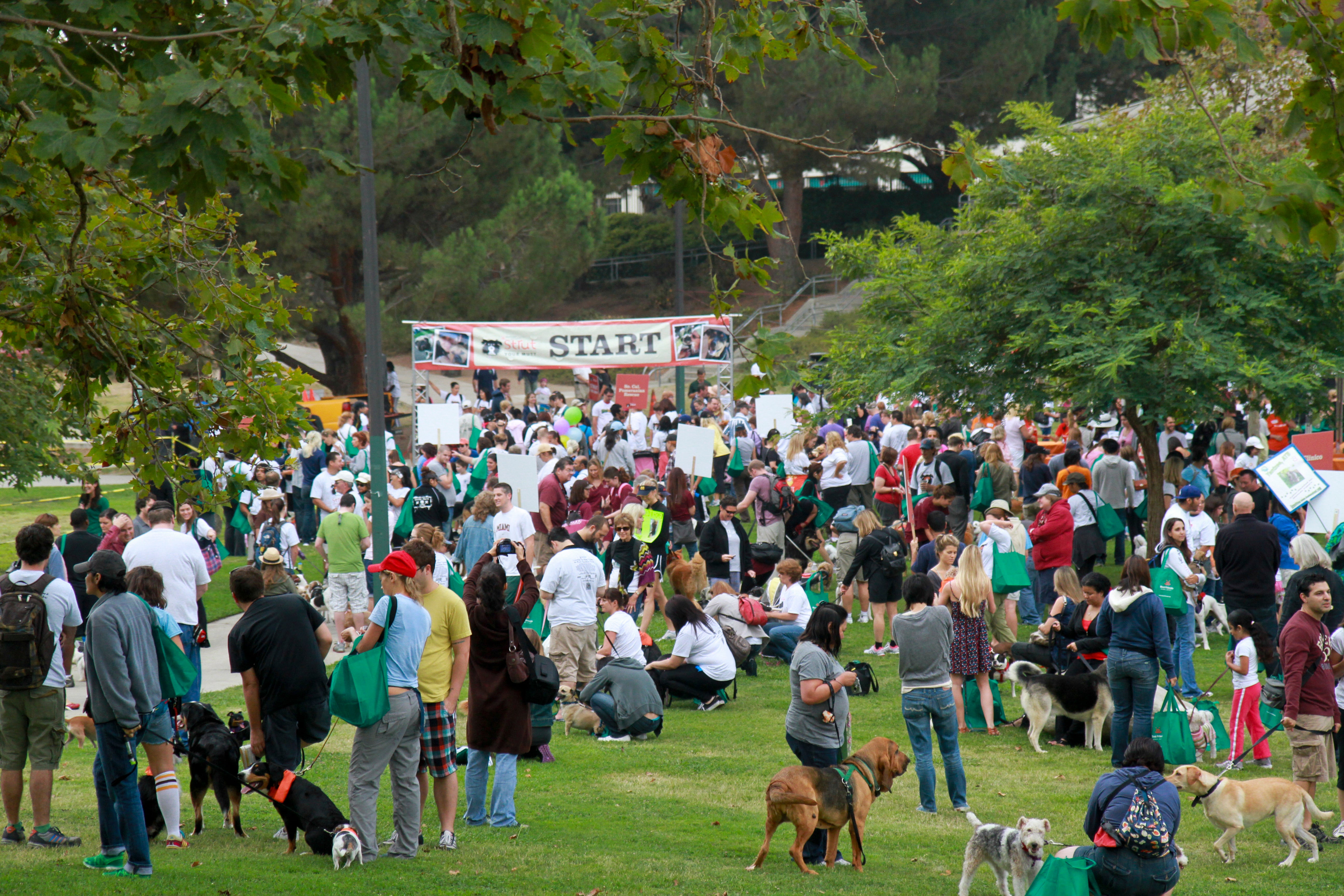 In 2011, a large community of 1,500 animal lovers gathered in Los Angeles and raised over $280,000 to save the lives of homeless pets locally and across the country.