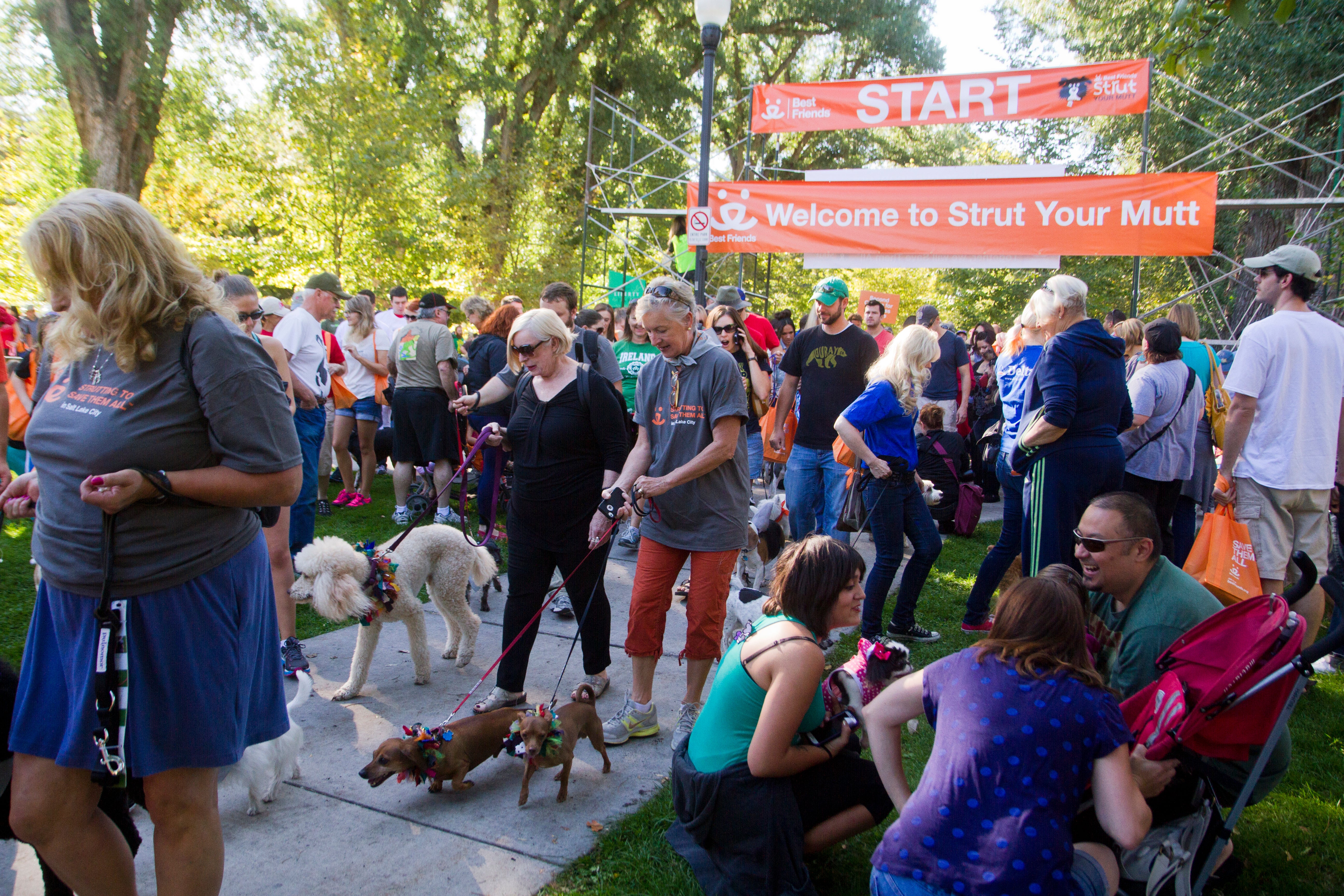 Over the years, Strut Your Mutt in Salt Lake City has continued to grow as passionate participants have gathered to raise awareness and funds for homeless pets.