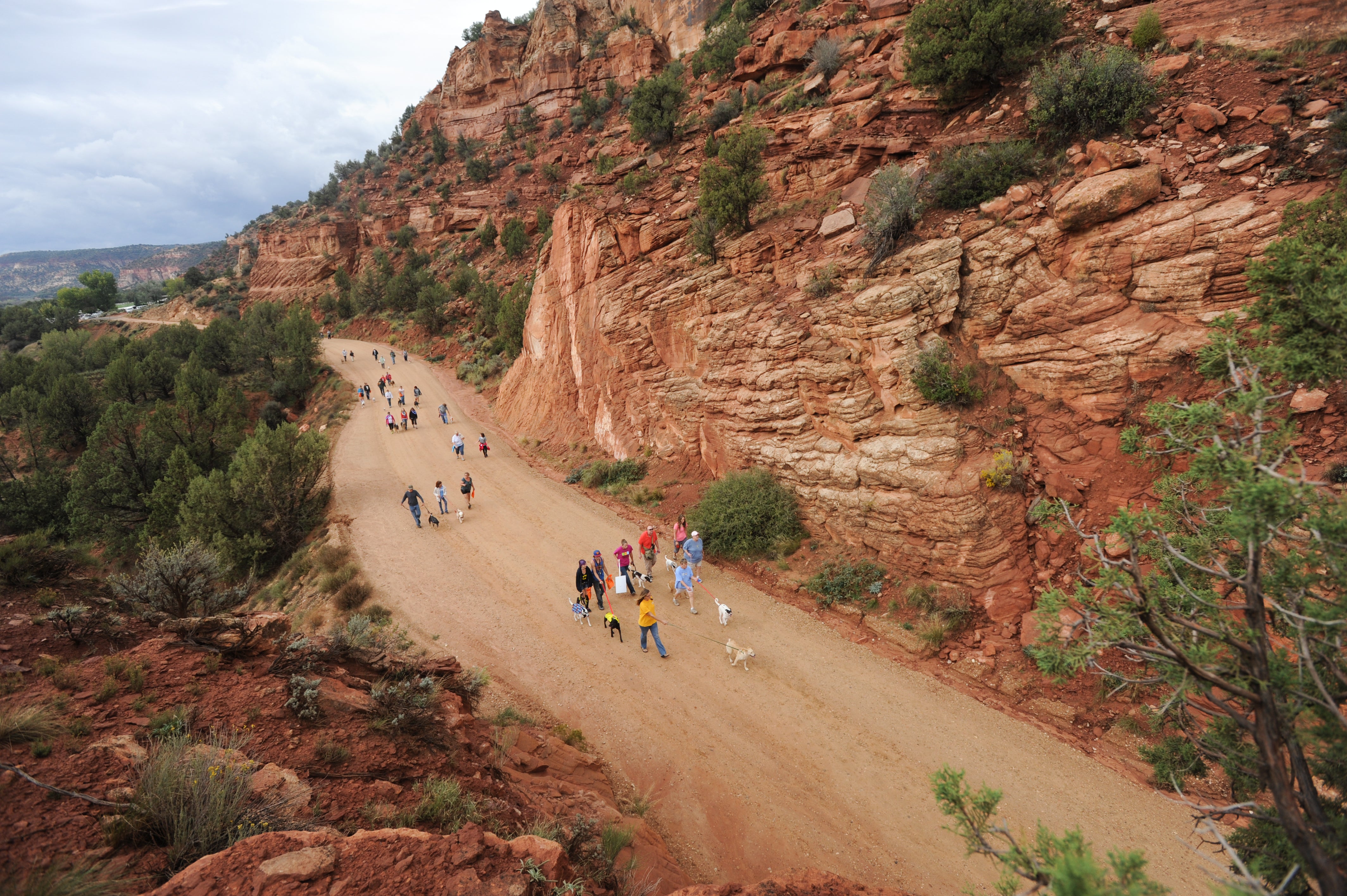 In 2014, strutters and their pups took a fun, lifesaving walk at the majestic Best Friends Animal Sanctuary in Kanab, Utah, while raising nearly $50,000 for homeless pets.