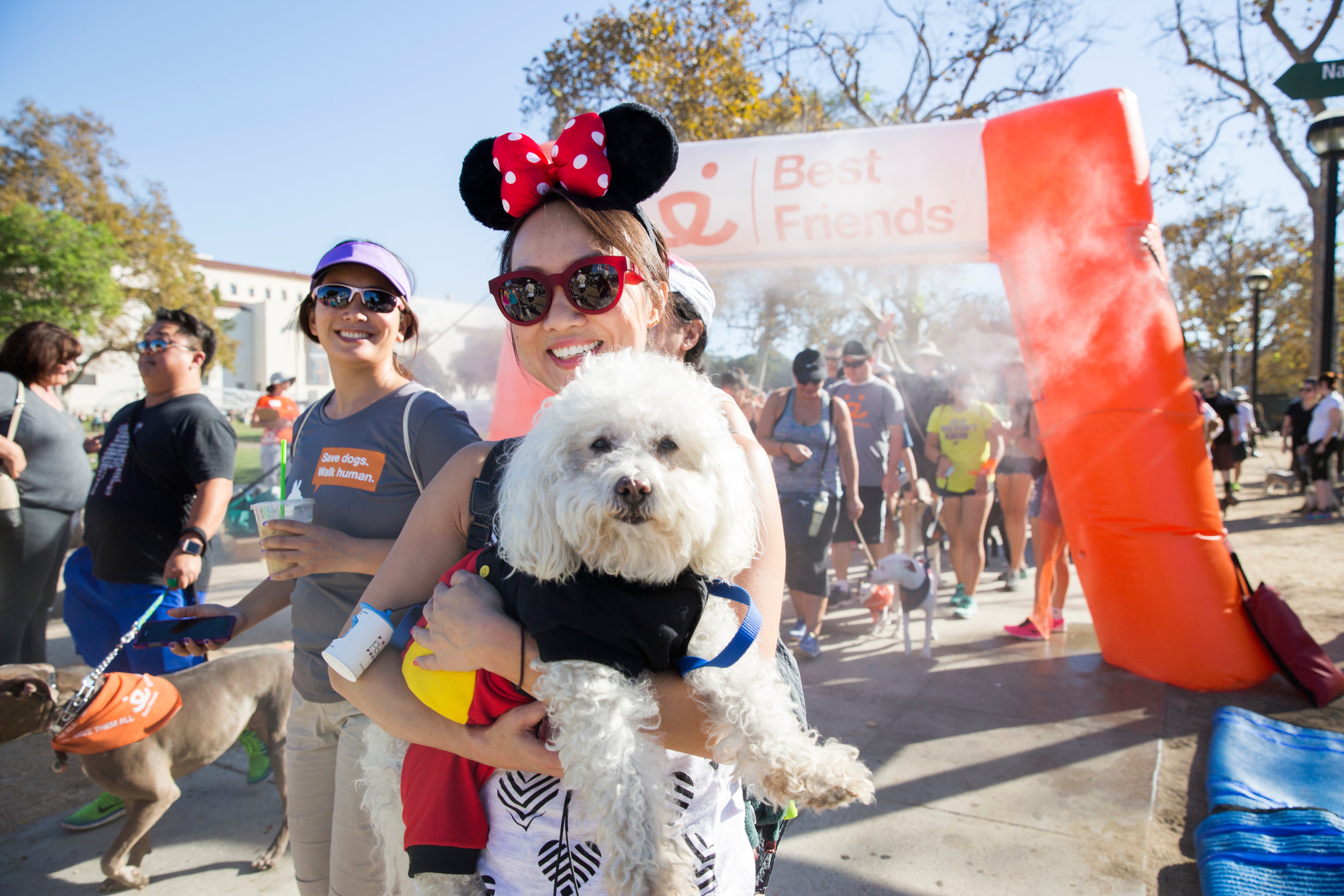 In 2015, nearly 13,000 participants across the country strutted their mutts and raised over $2 million for homeless pets all while making new friends and having fun.