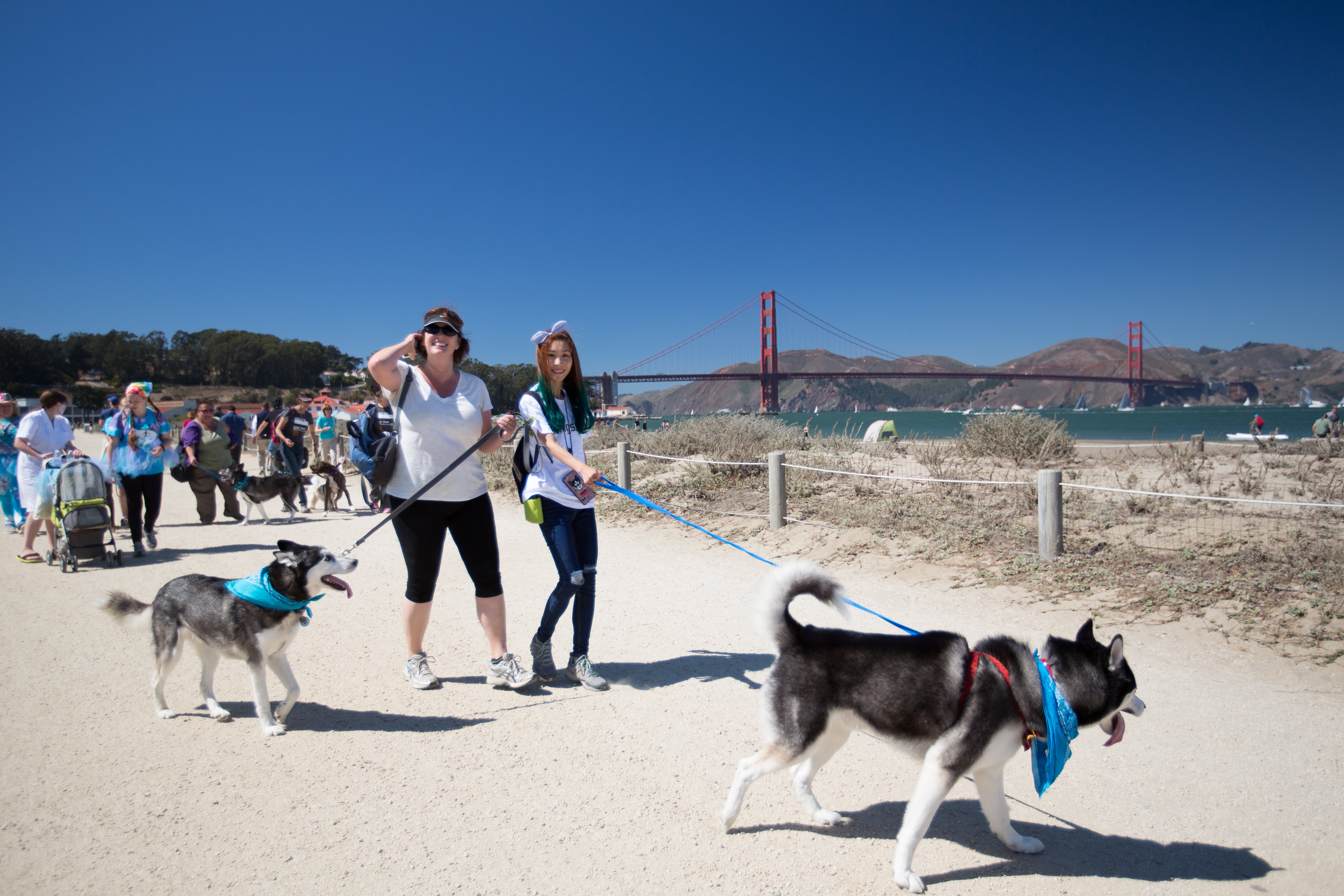 In 2016, over $2.6 million was raised by more than 15,500 participants for homeless pets in San Fransisco and other communities across the country.