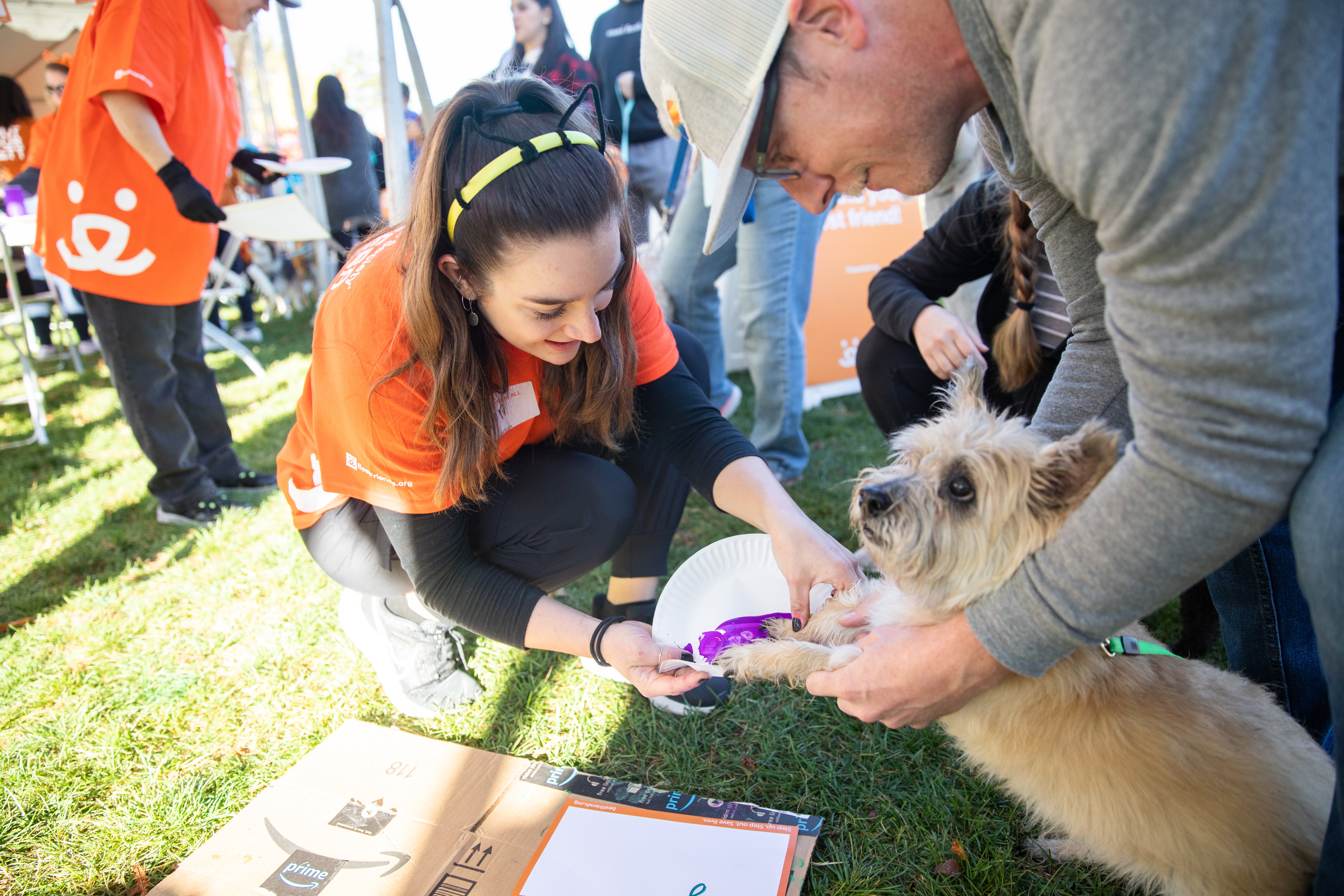 Strut Your Mutt is a fundraising walk and a festival of fun activities for both pets and people.