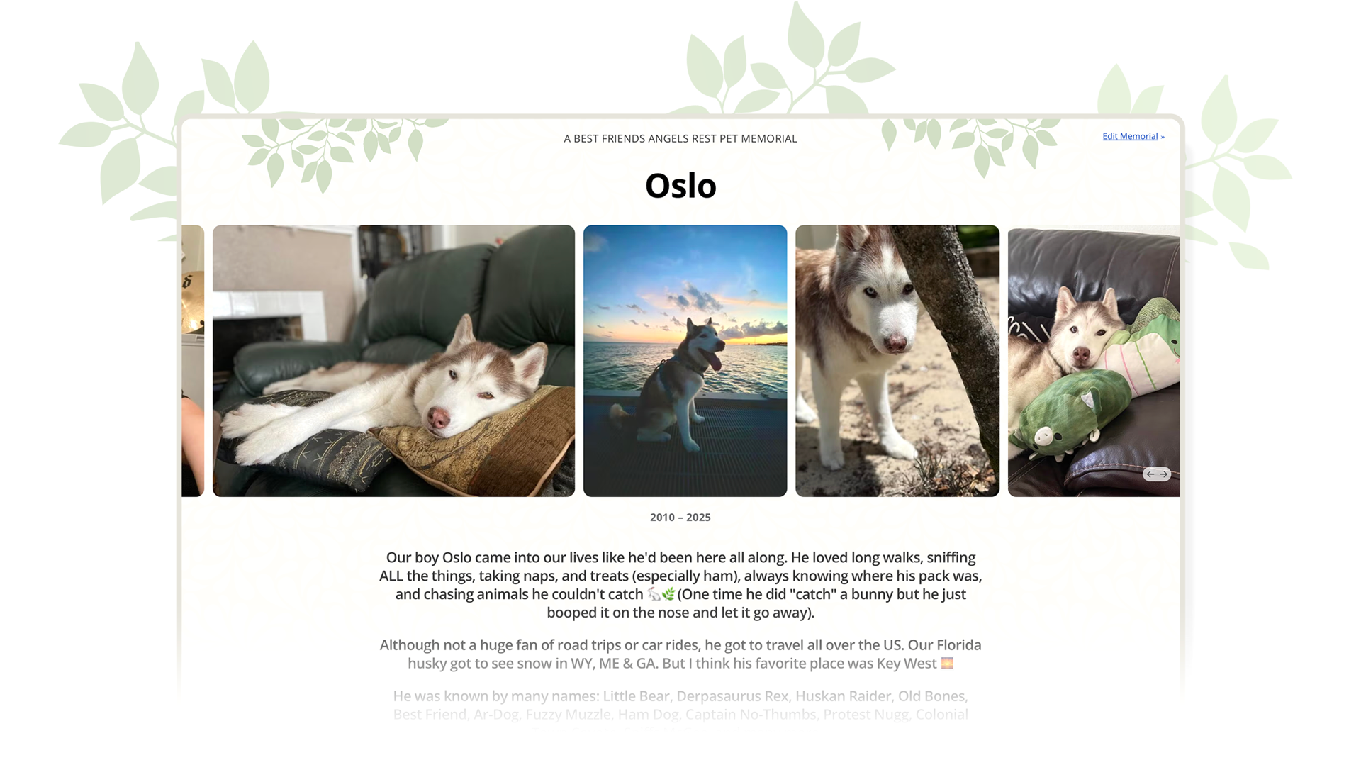 pet memorial example