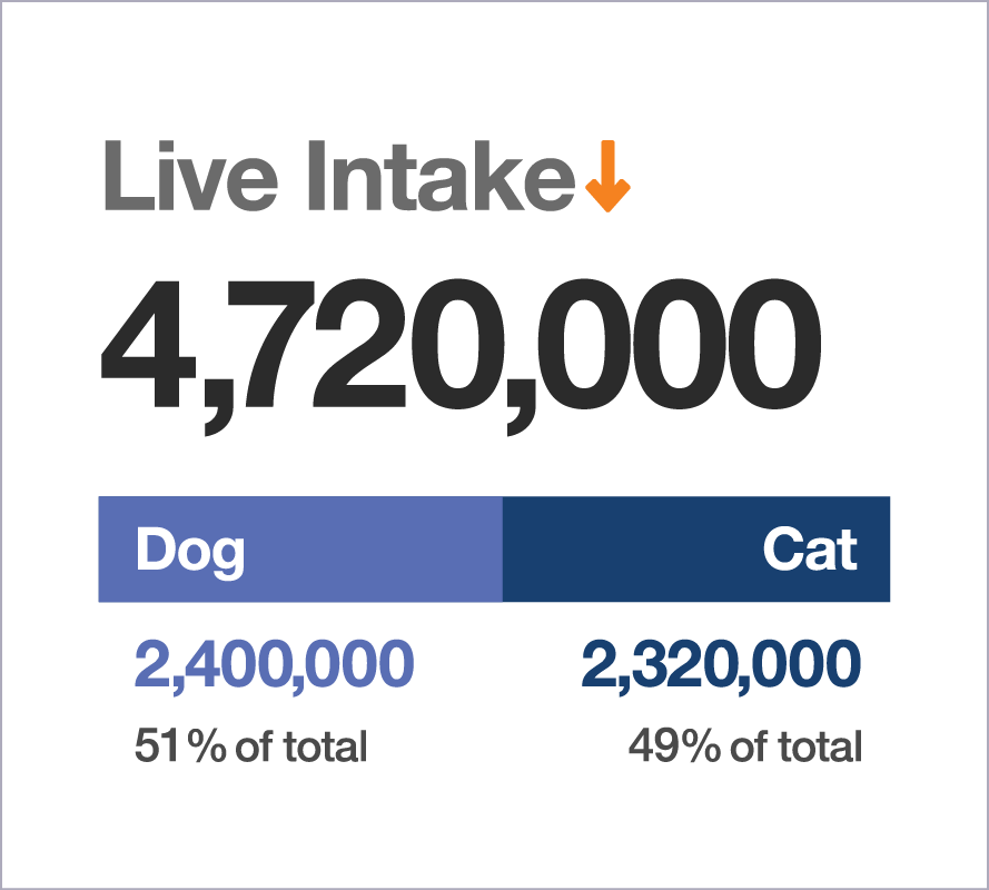 Live Intake graphic