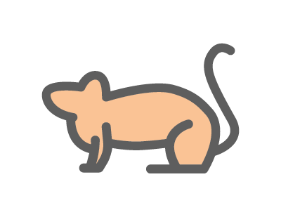 mouse icon